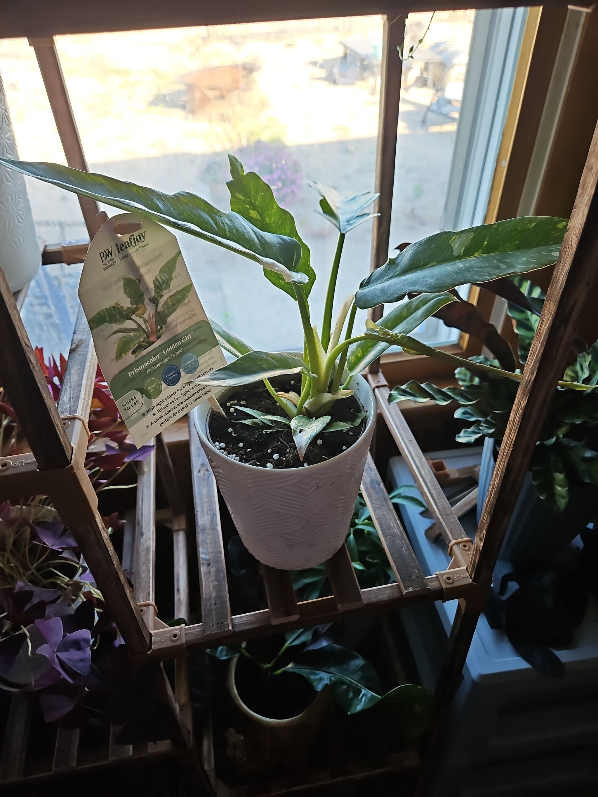 Photo from the post