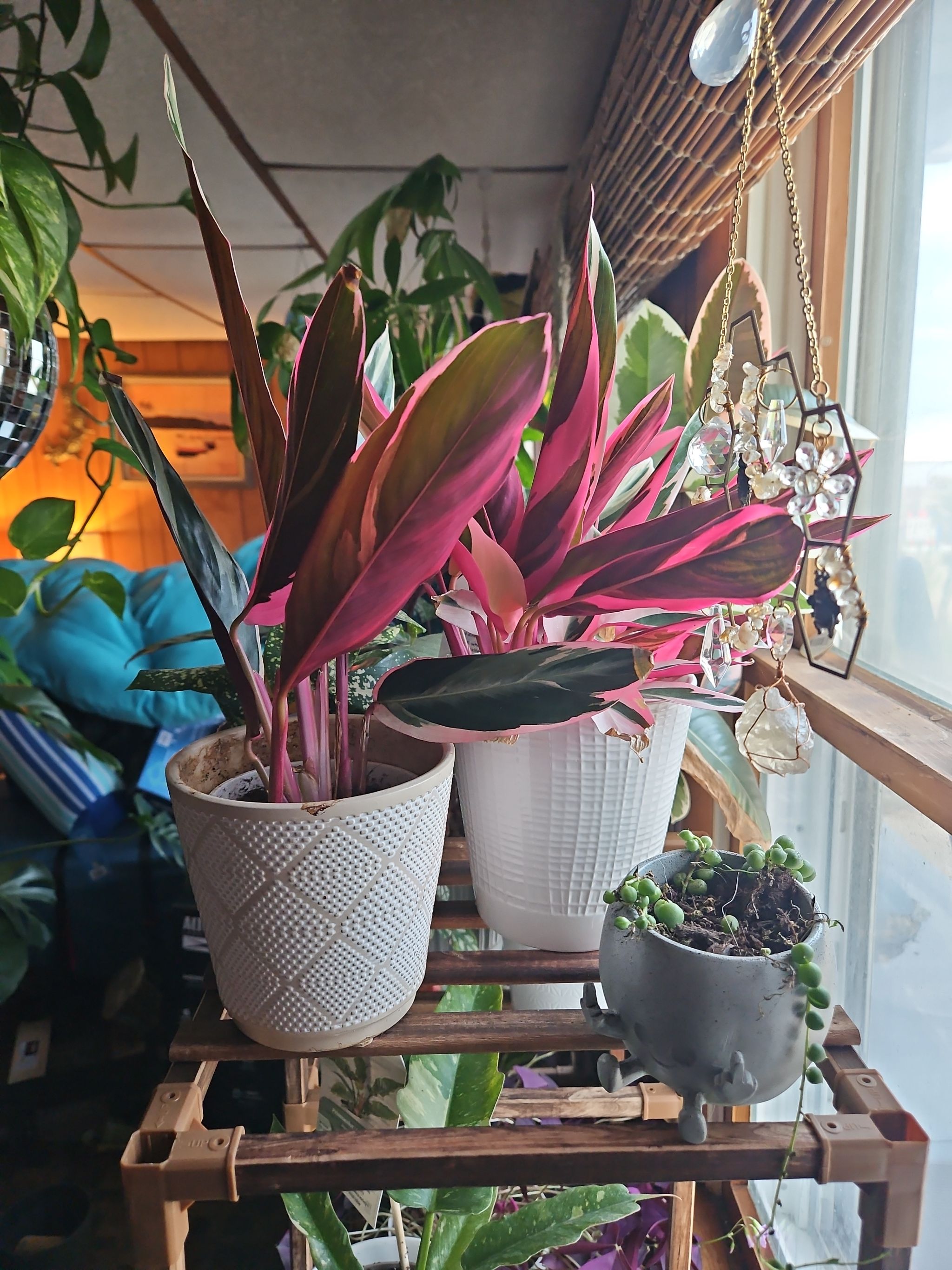 Photo from the post
