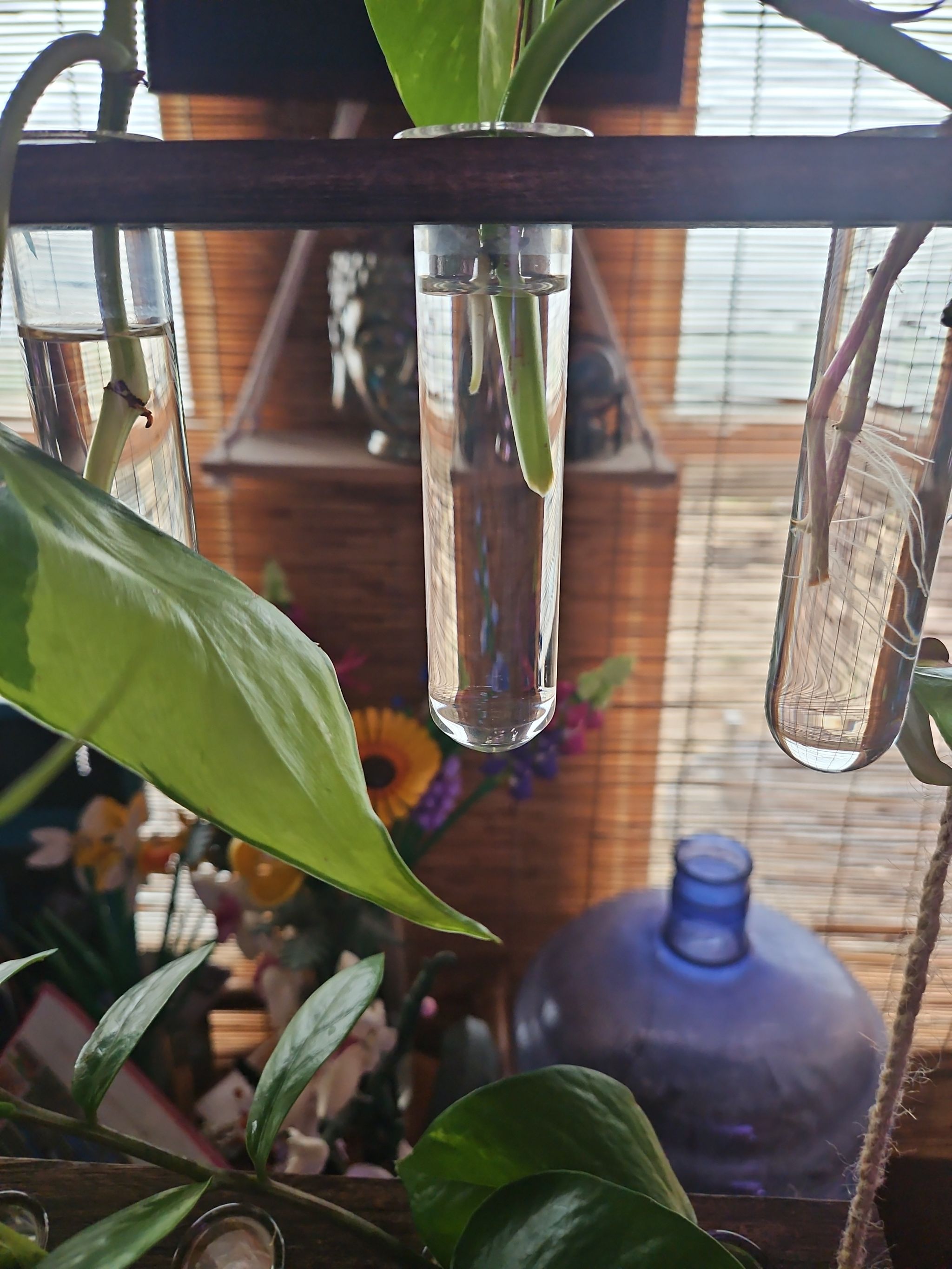 Photo from the post
