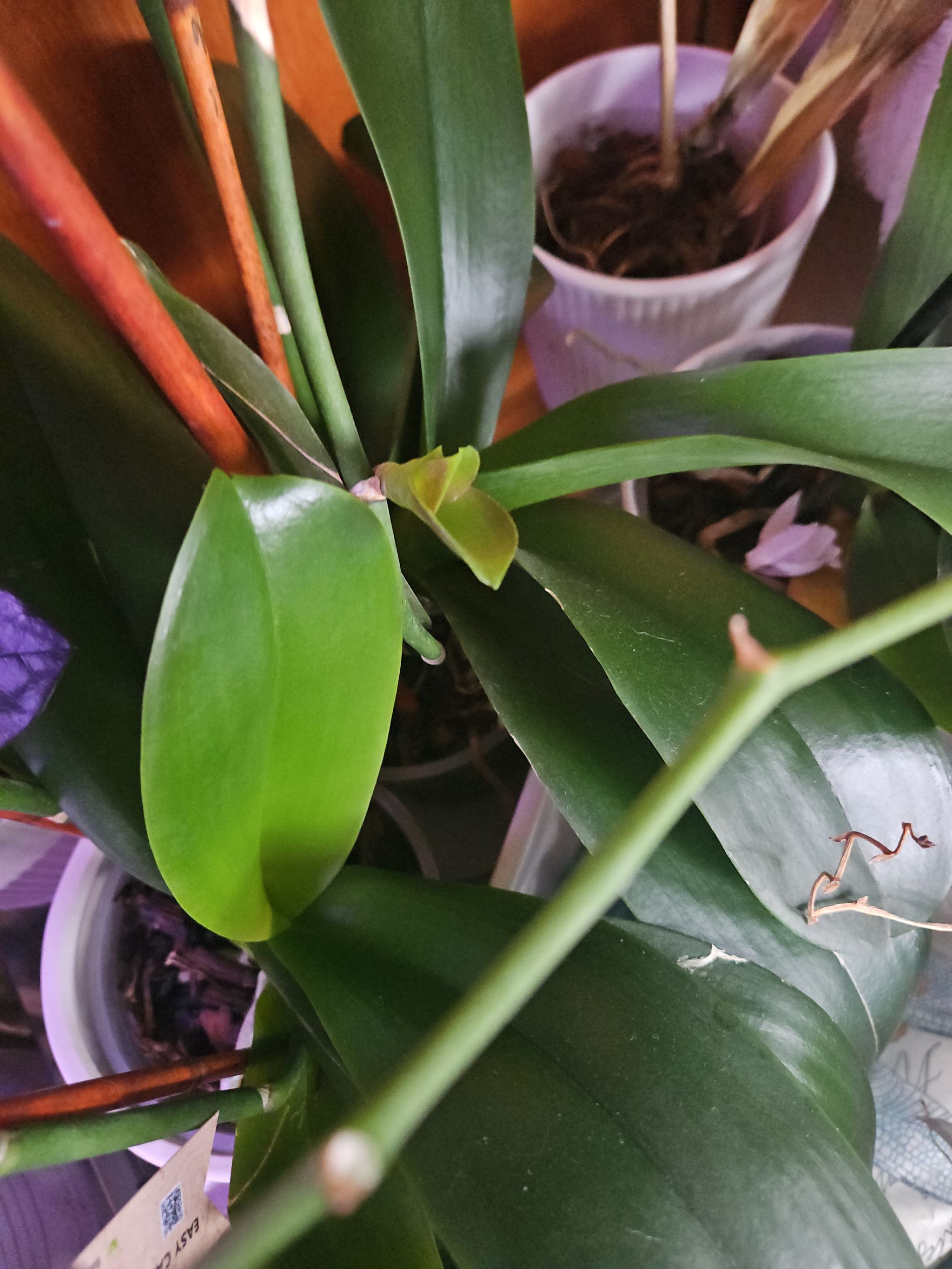 Photo from the post