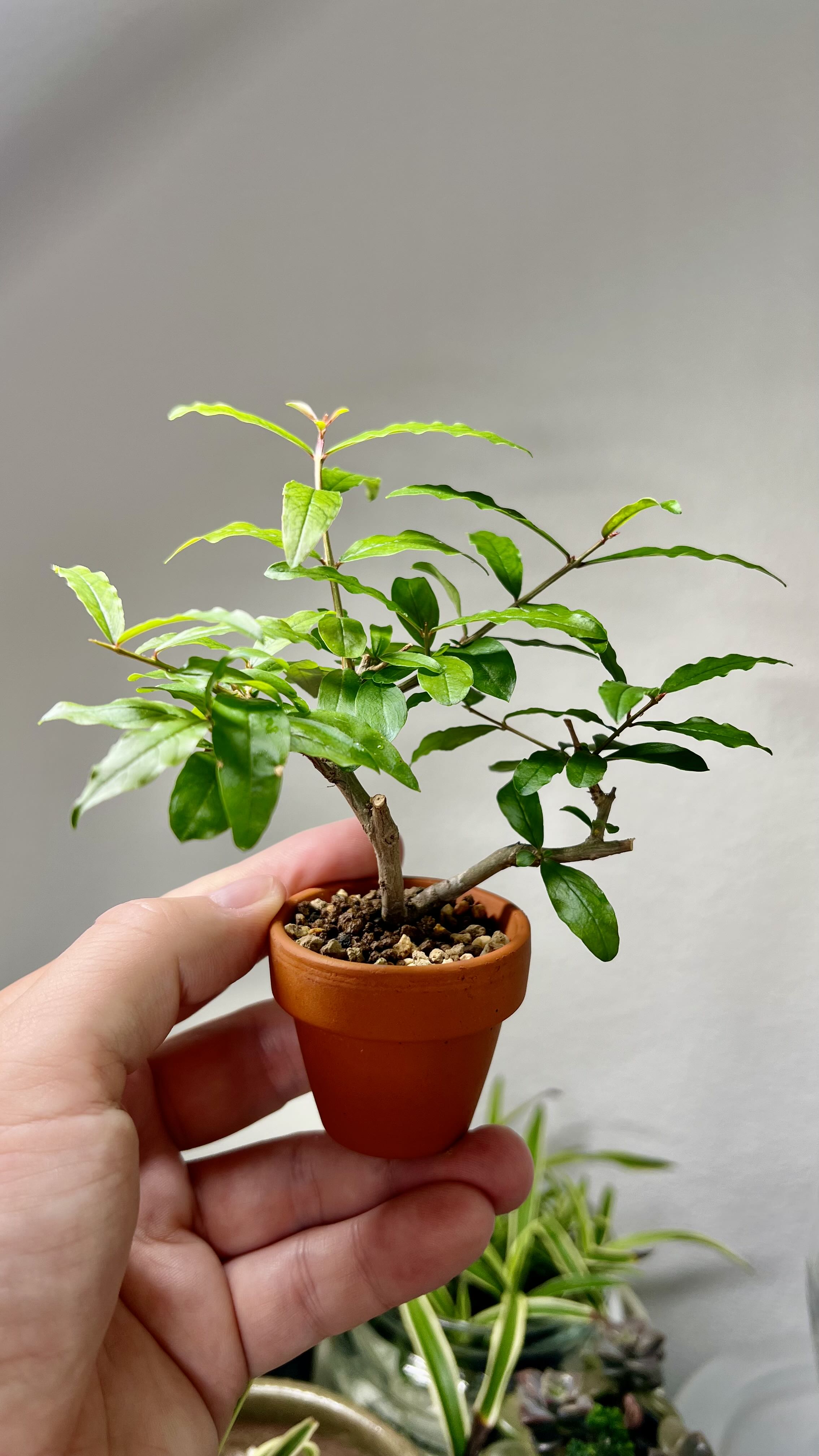 Photo from the post