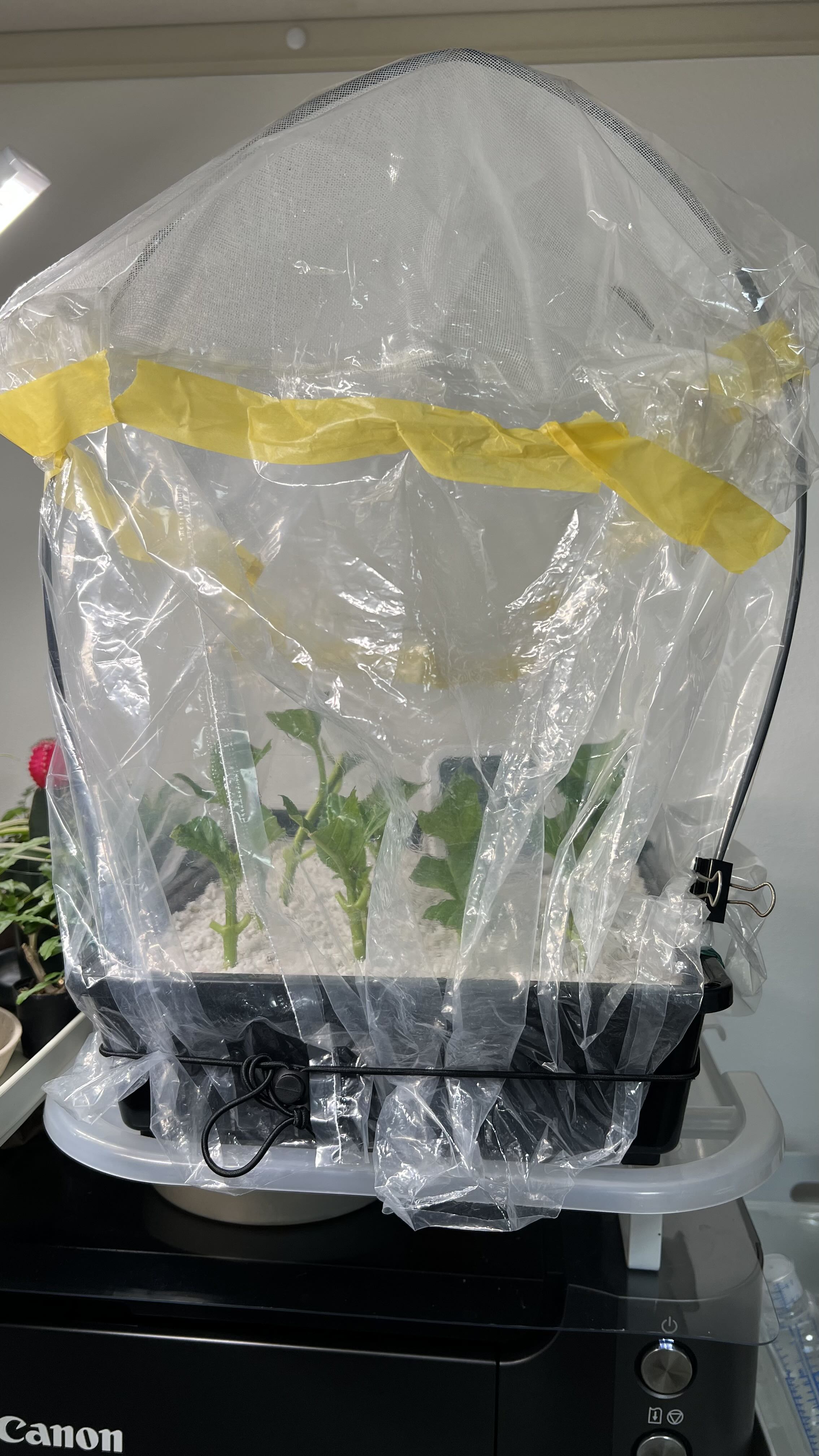 Photo from the post