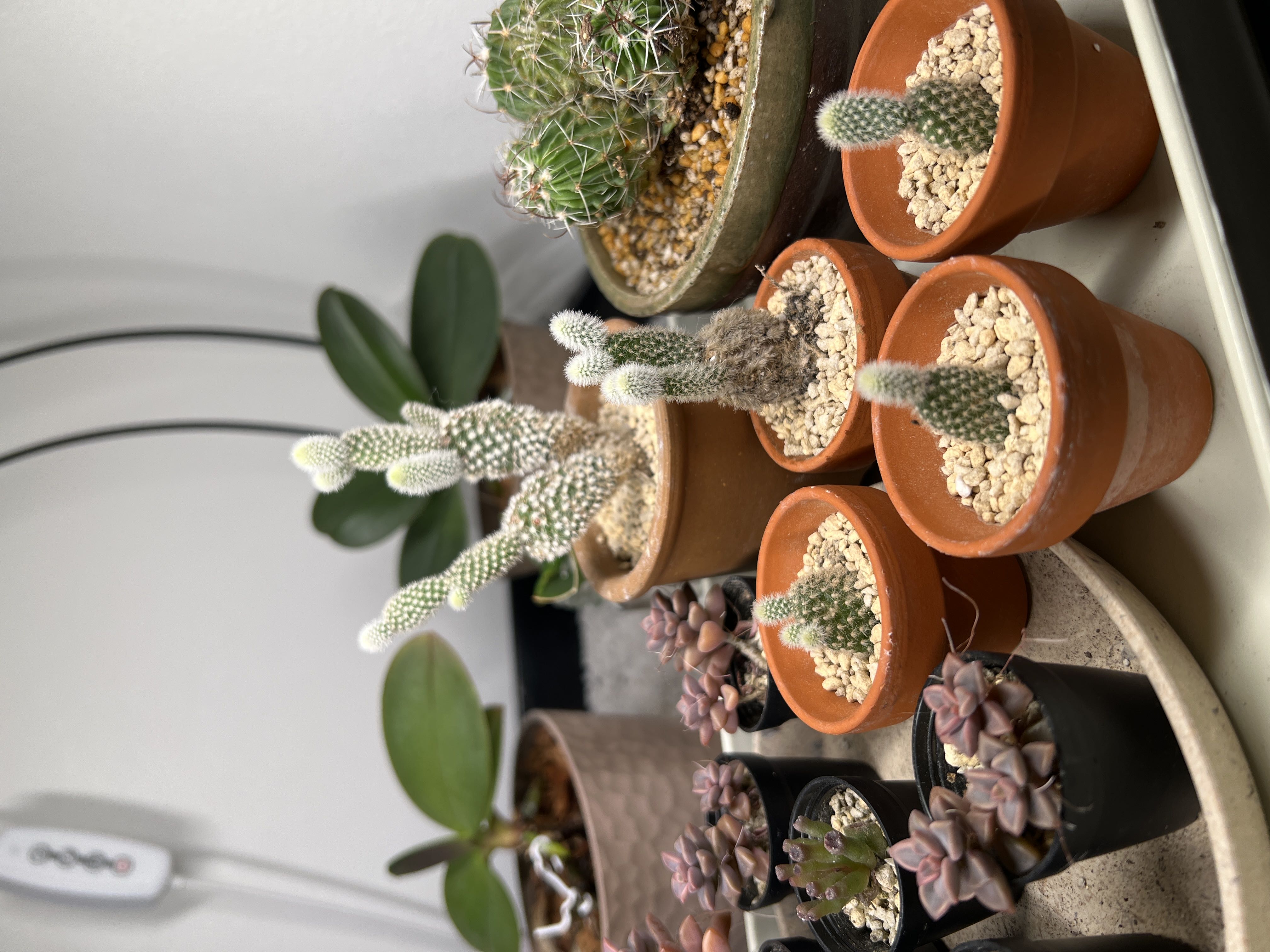 Photo from the post