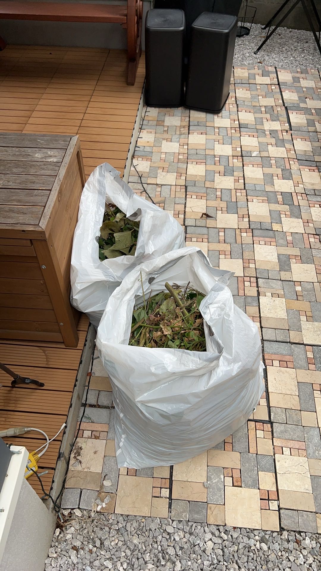 Photo from the post