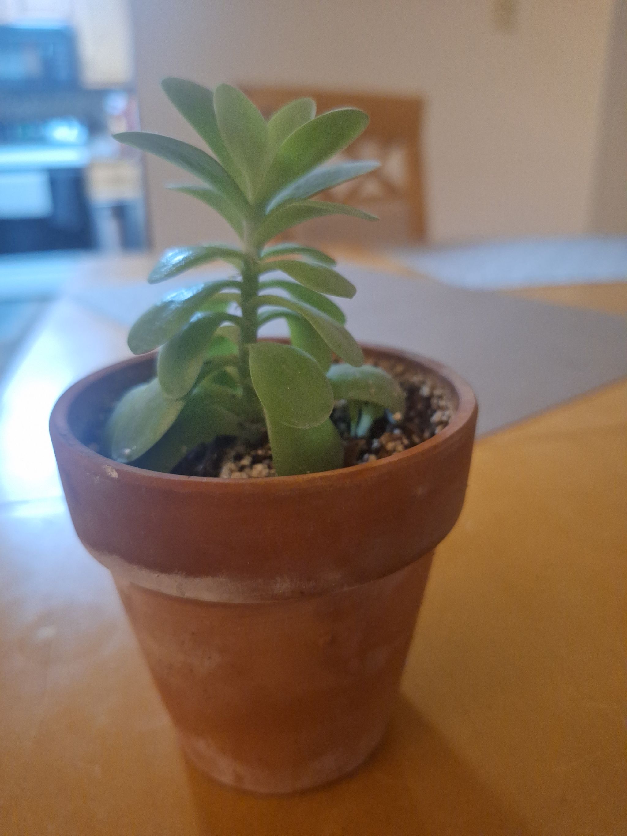 Photo from the post