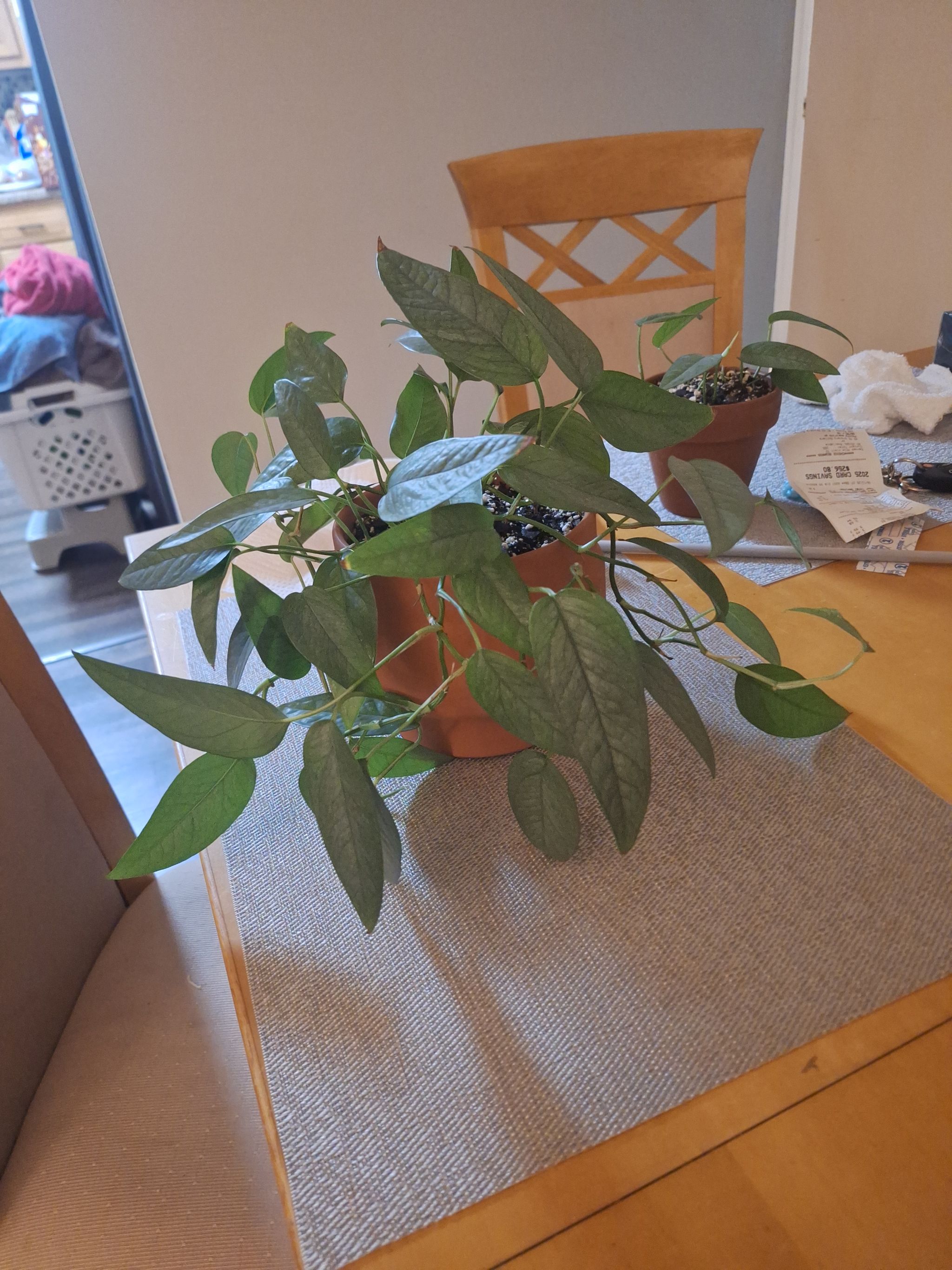Photo from the post
