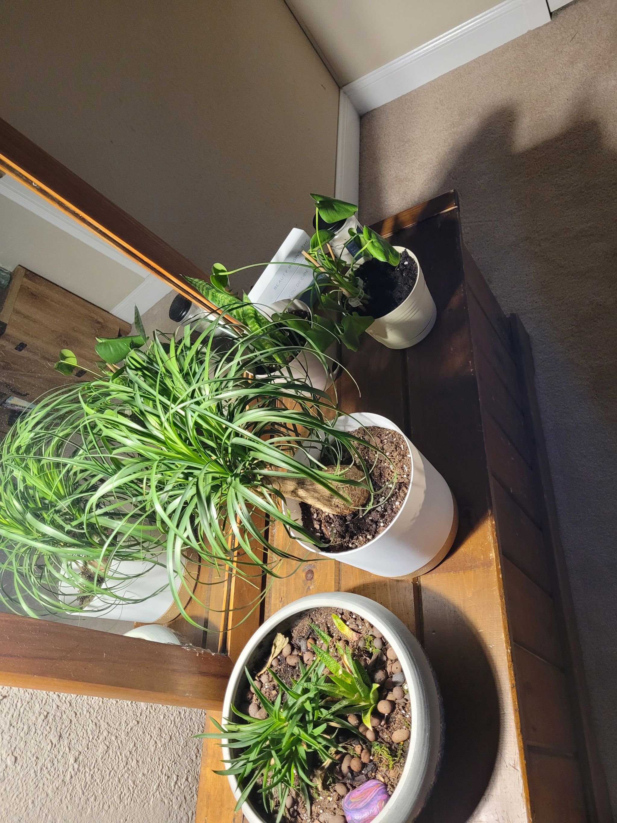 Photo from the post