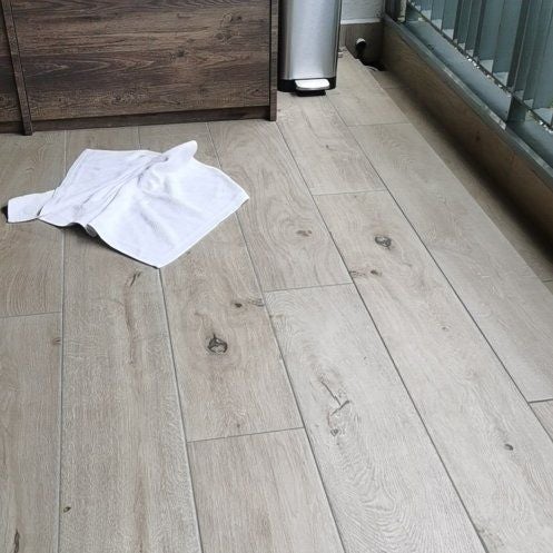 Photo of the plant species Asparagus umbellatus by @SpunkyCrabapple named Apollo on Greg, the plant care app