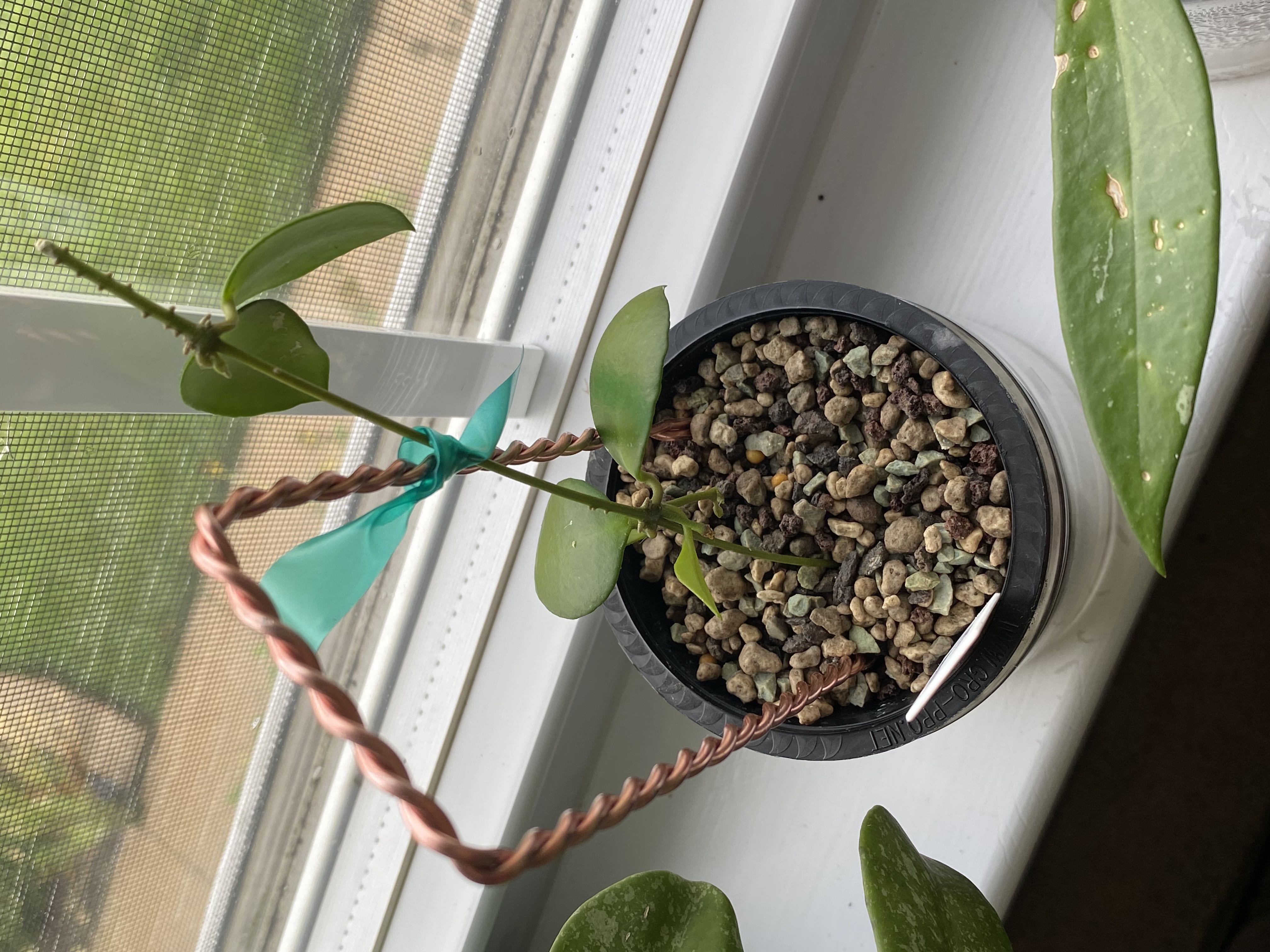 Photo from the post