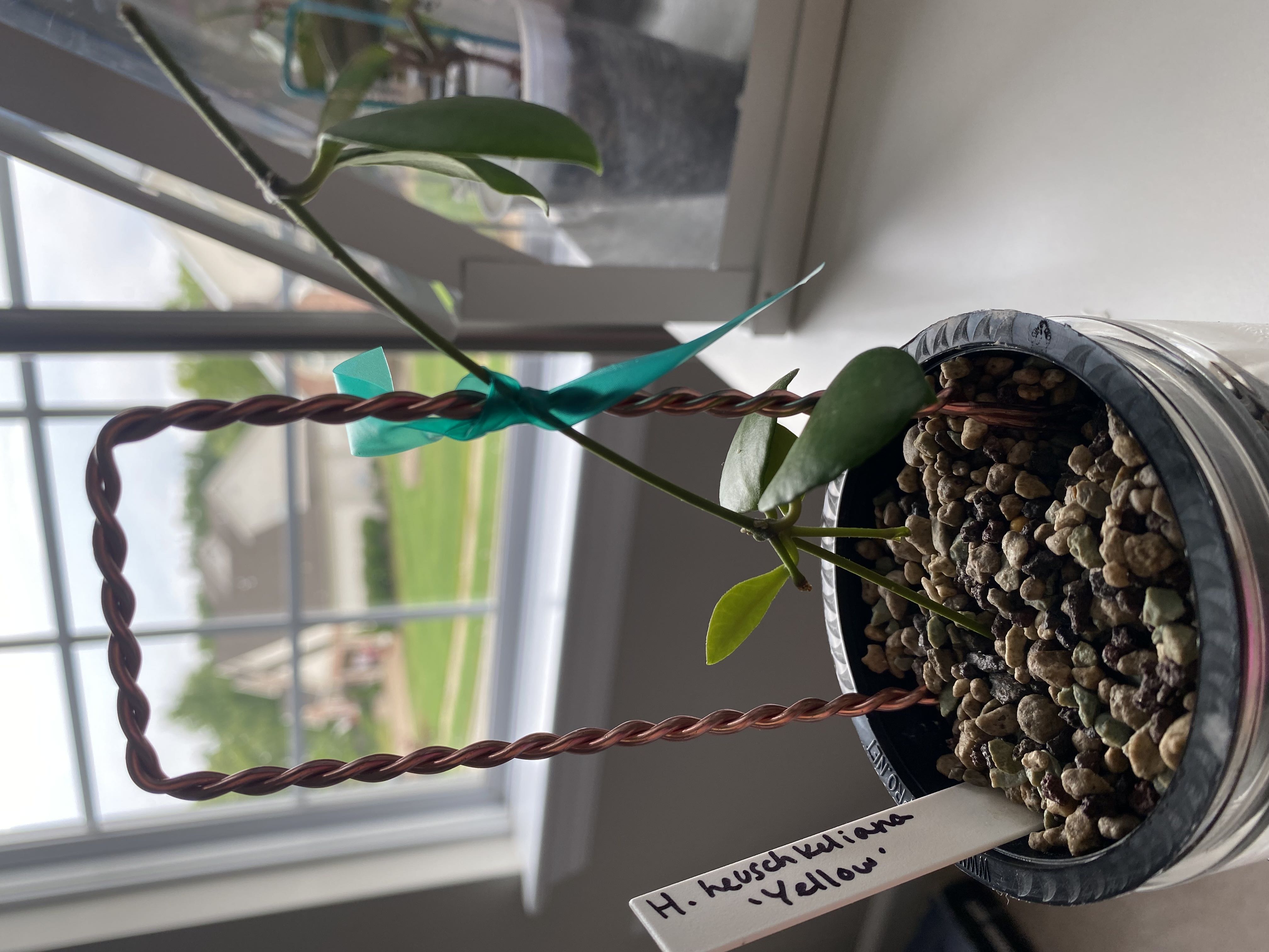 Photo from the post