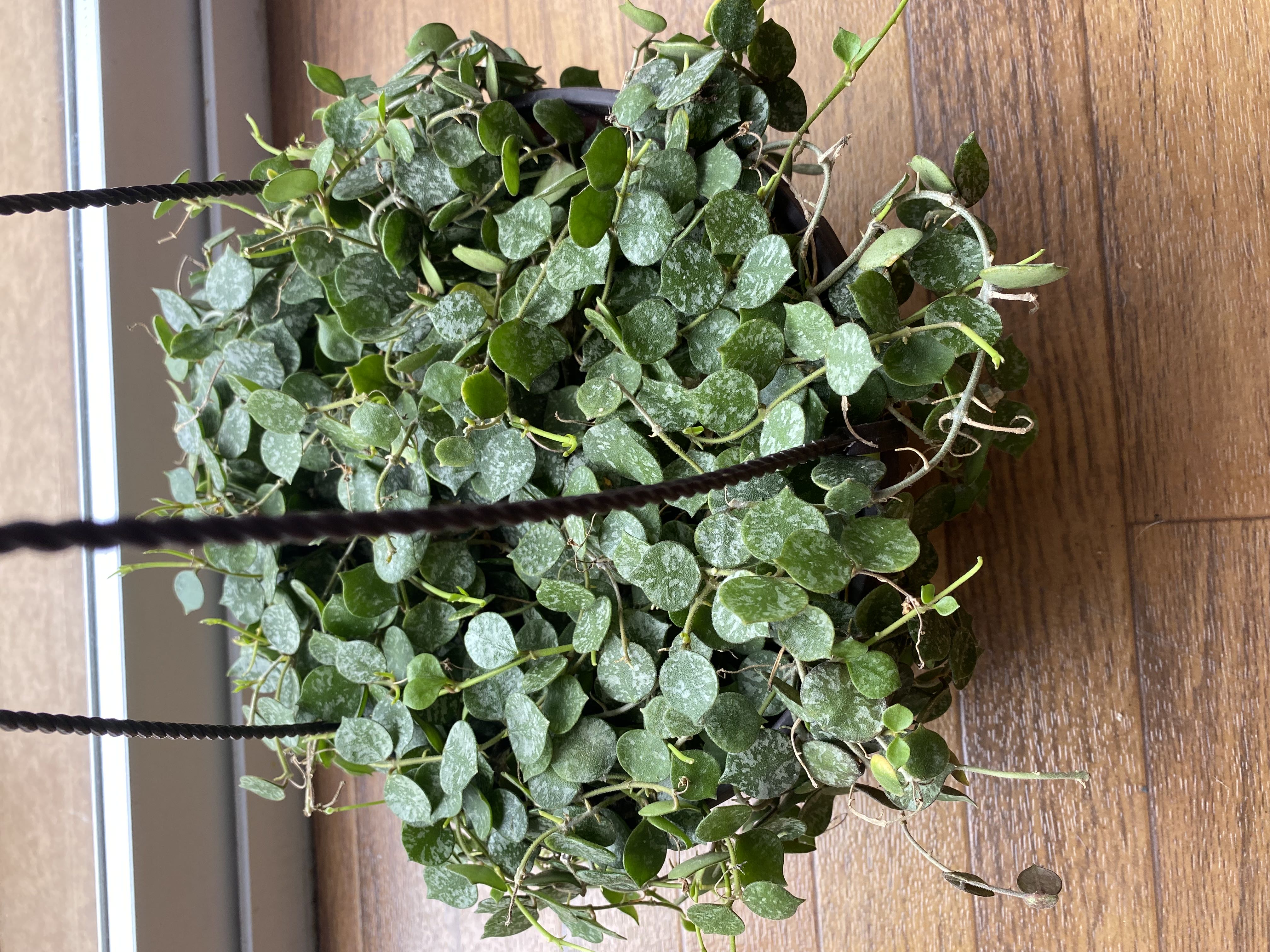 Photo from the post