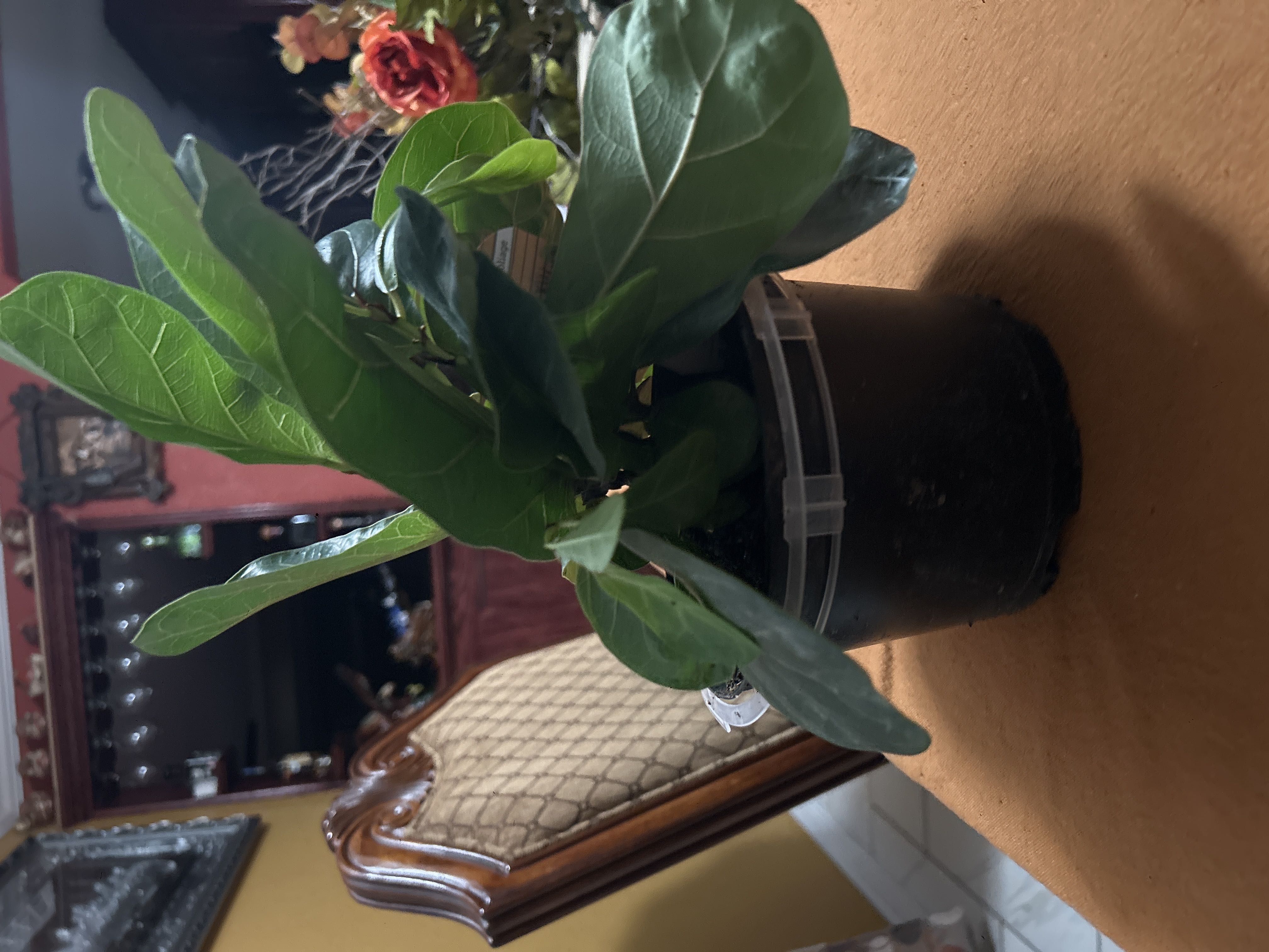 Photo from the post
