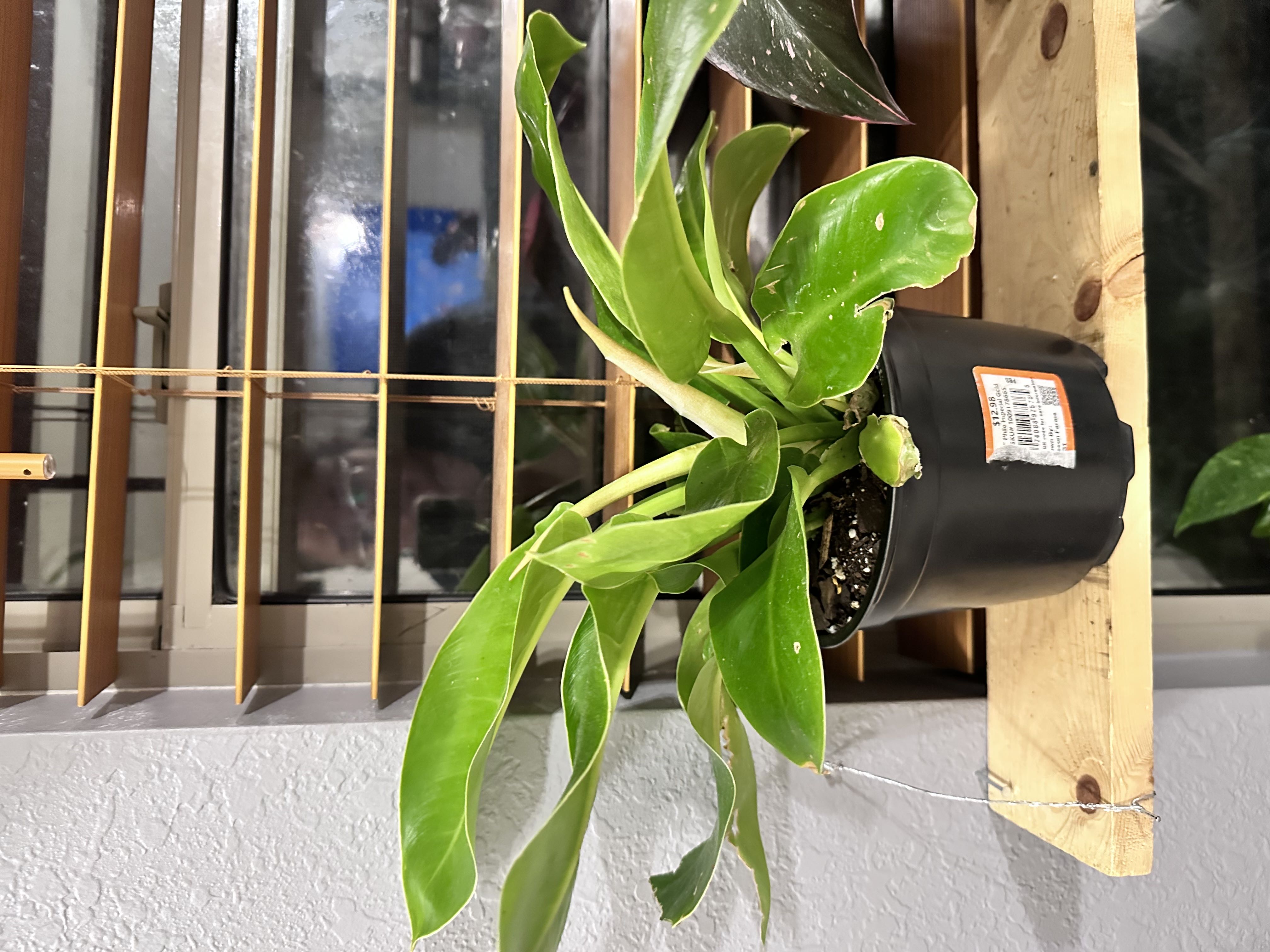 Photo from the post