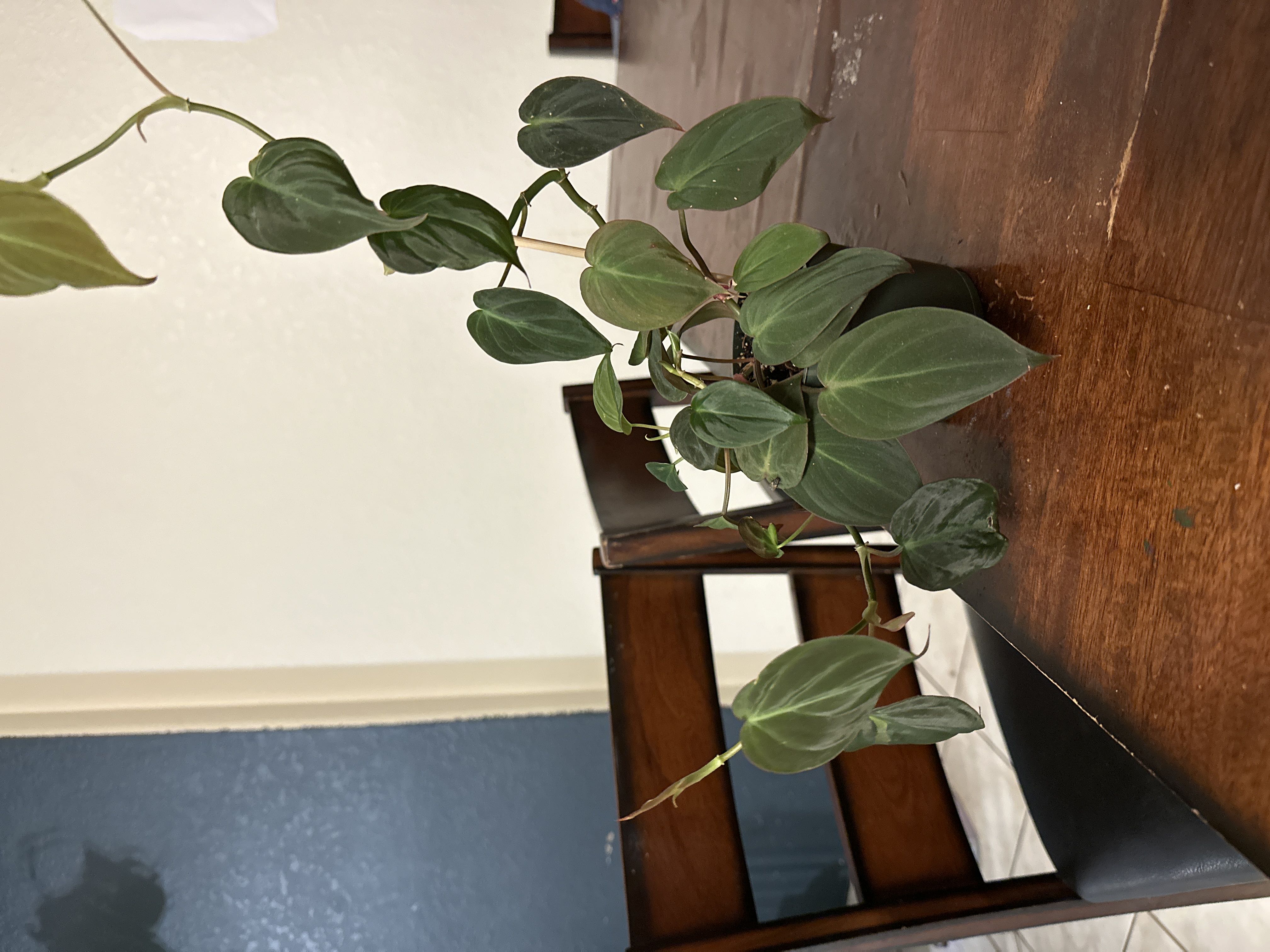 Photo from the post