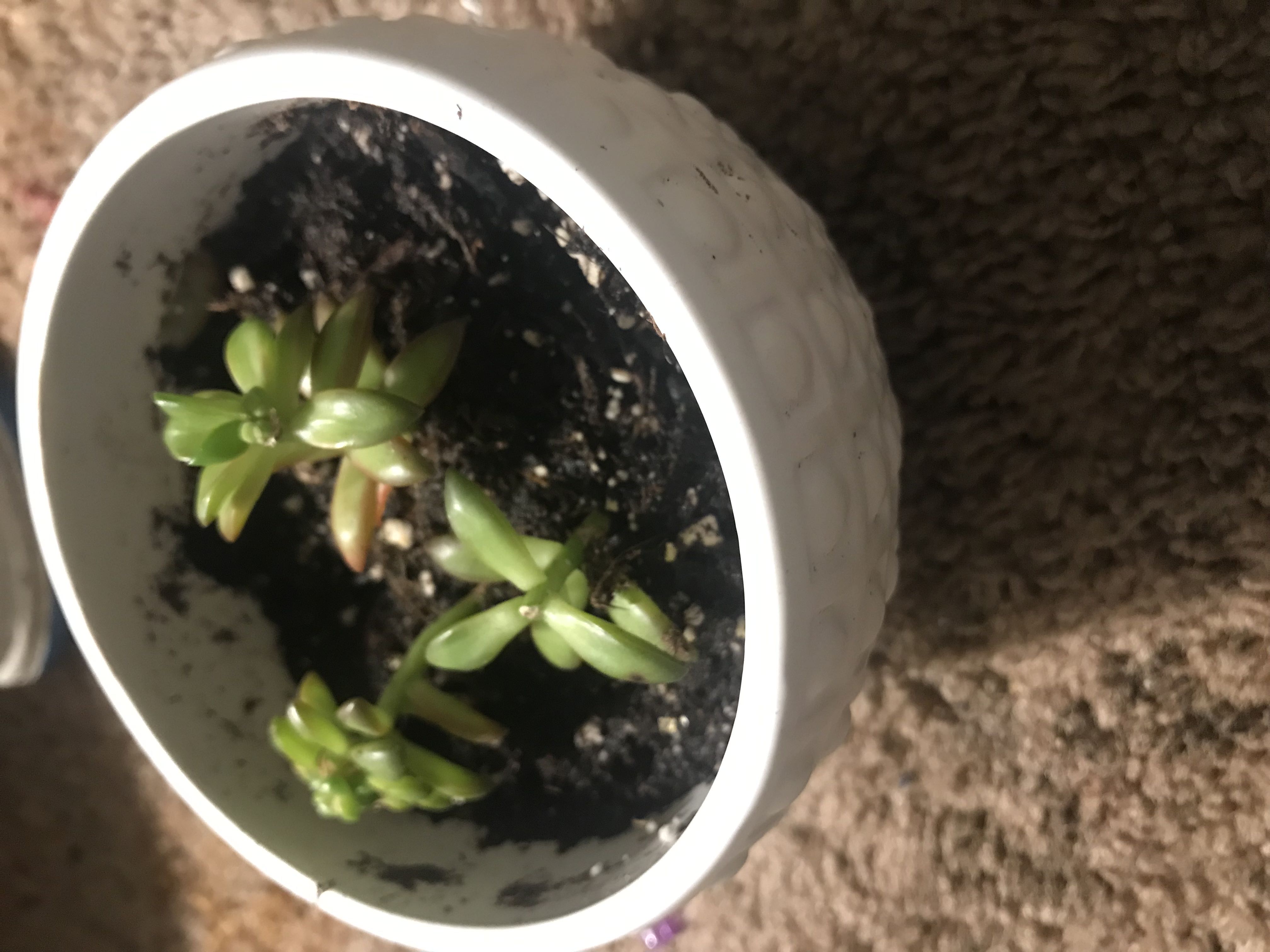 Photo from the post