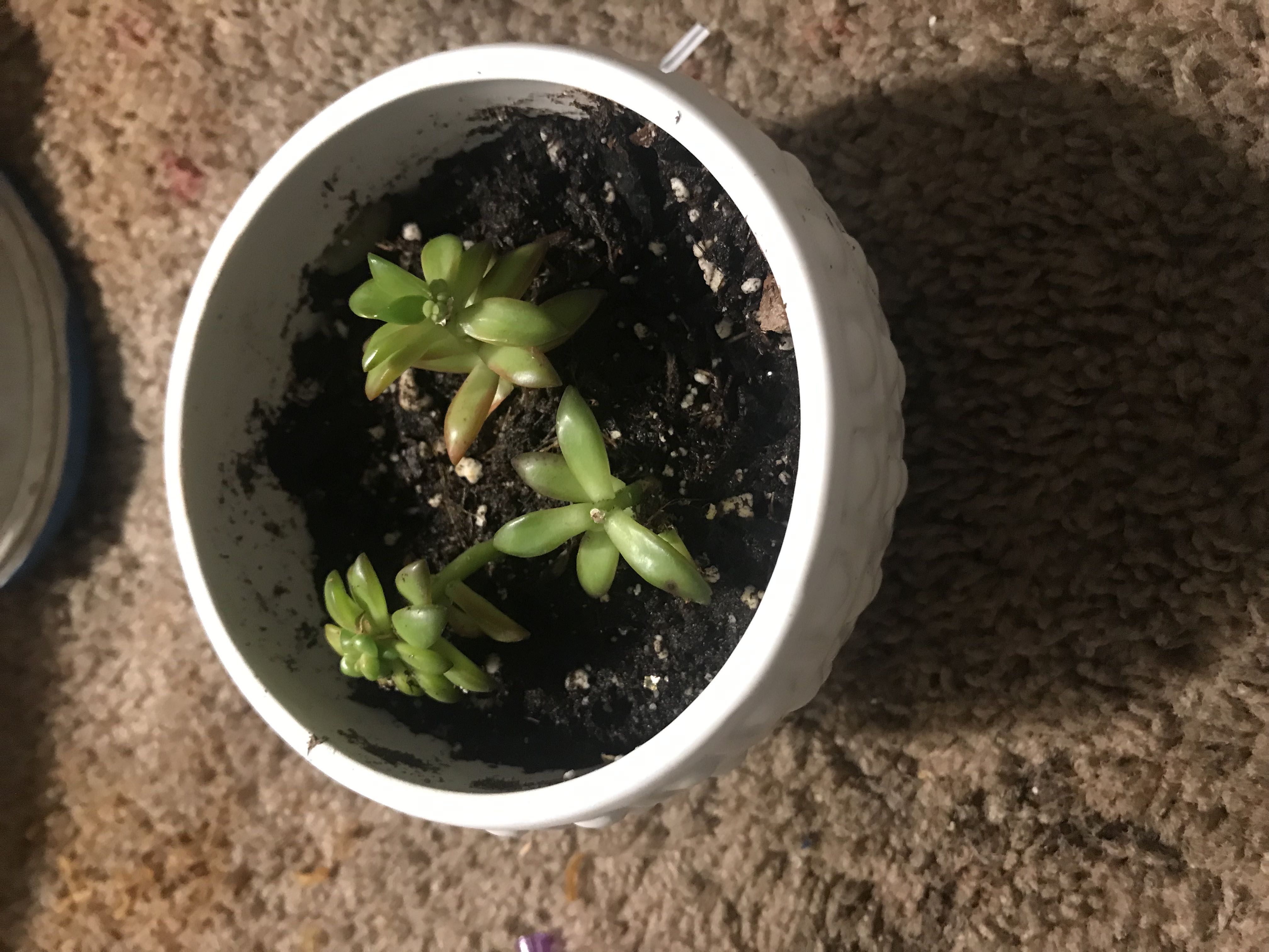 Photo from the post