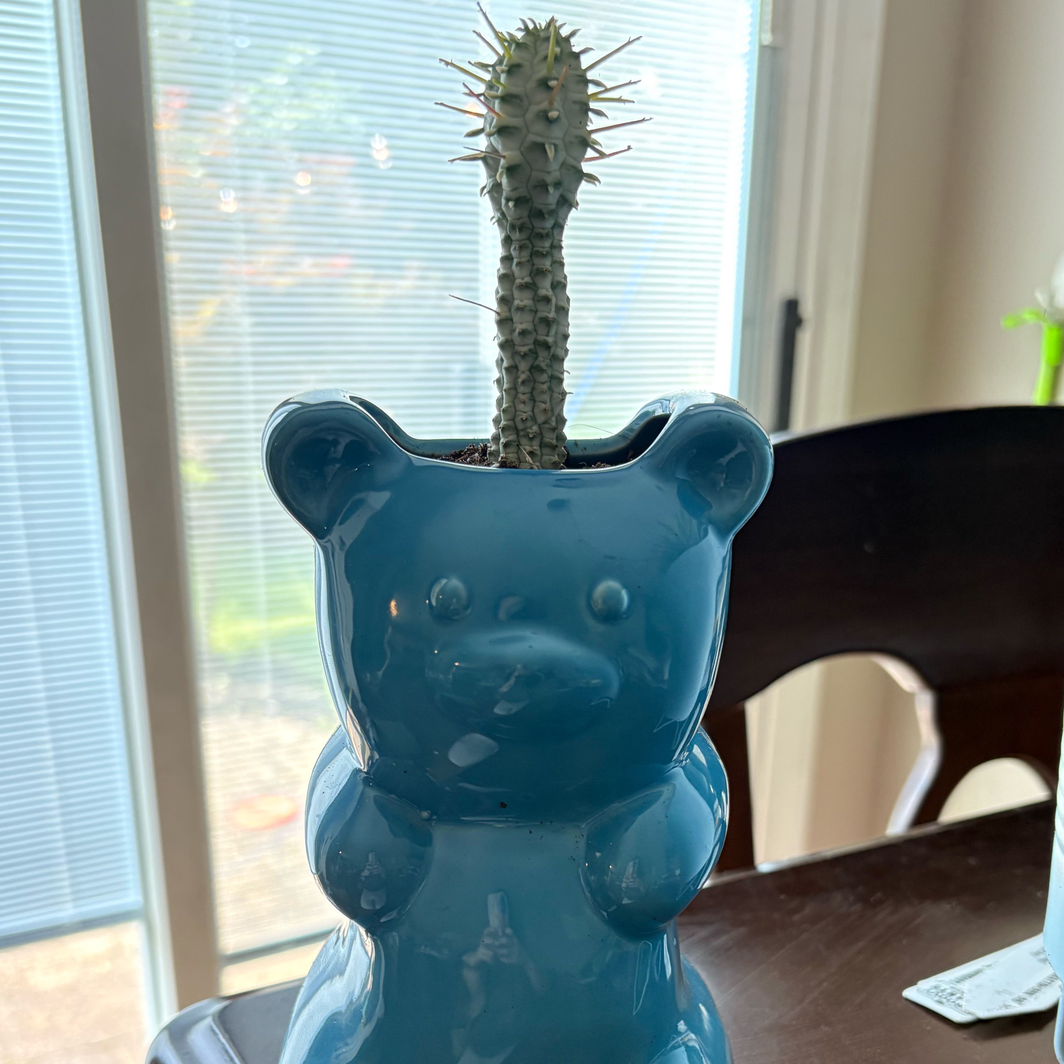 Bluebear