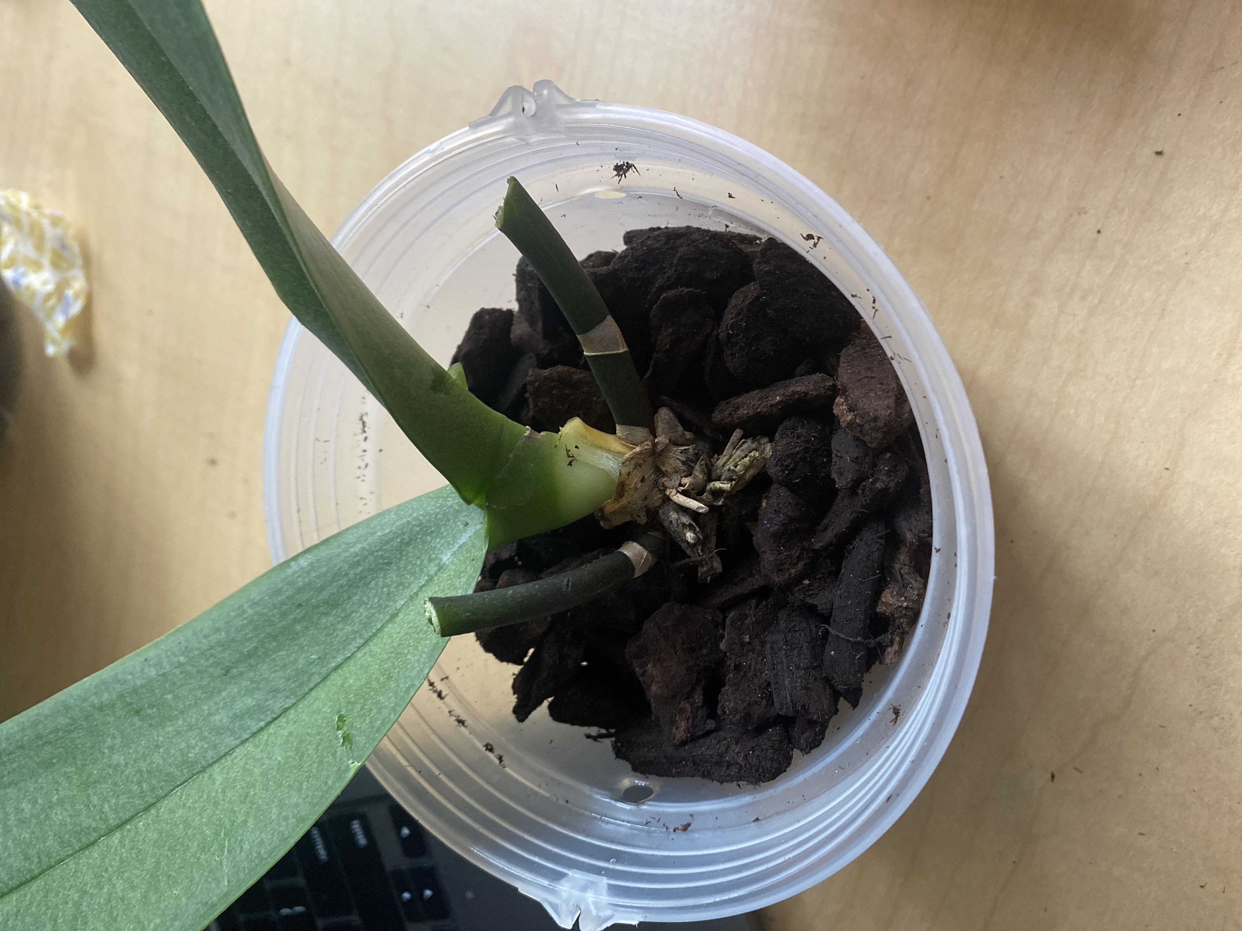 Photo from the post