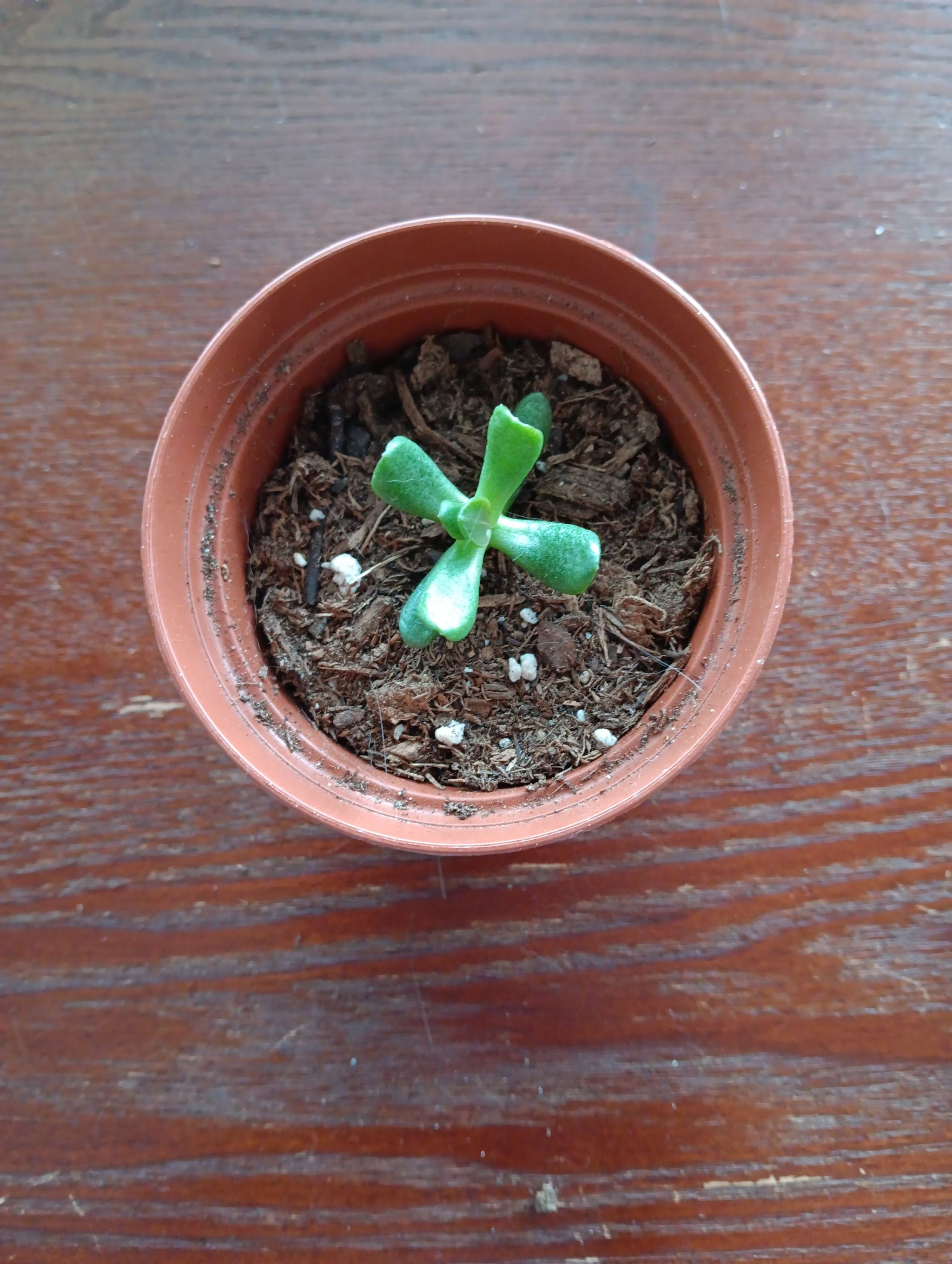 Photo from the post