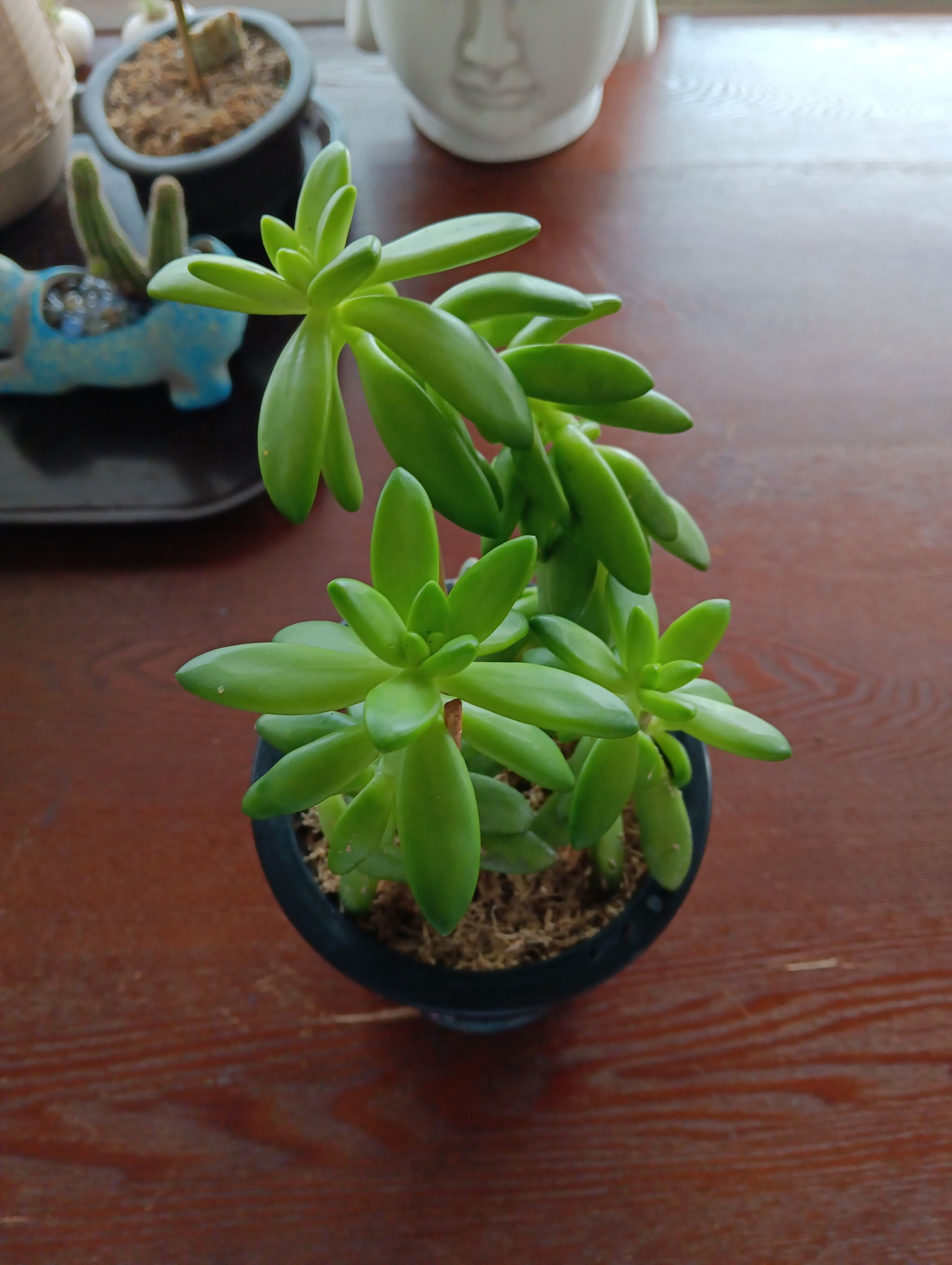 Photo from the post