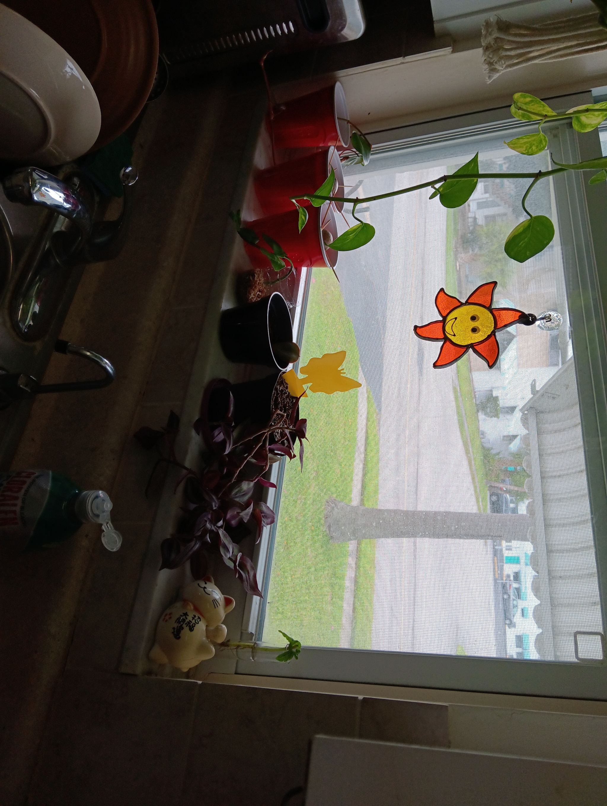 Photo from the post