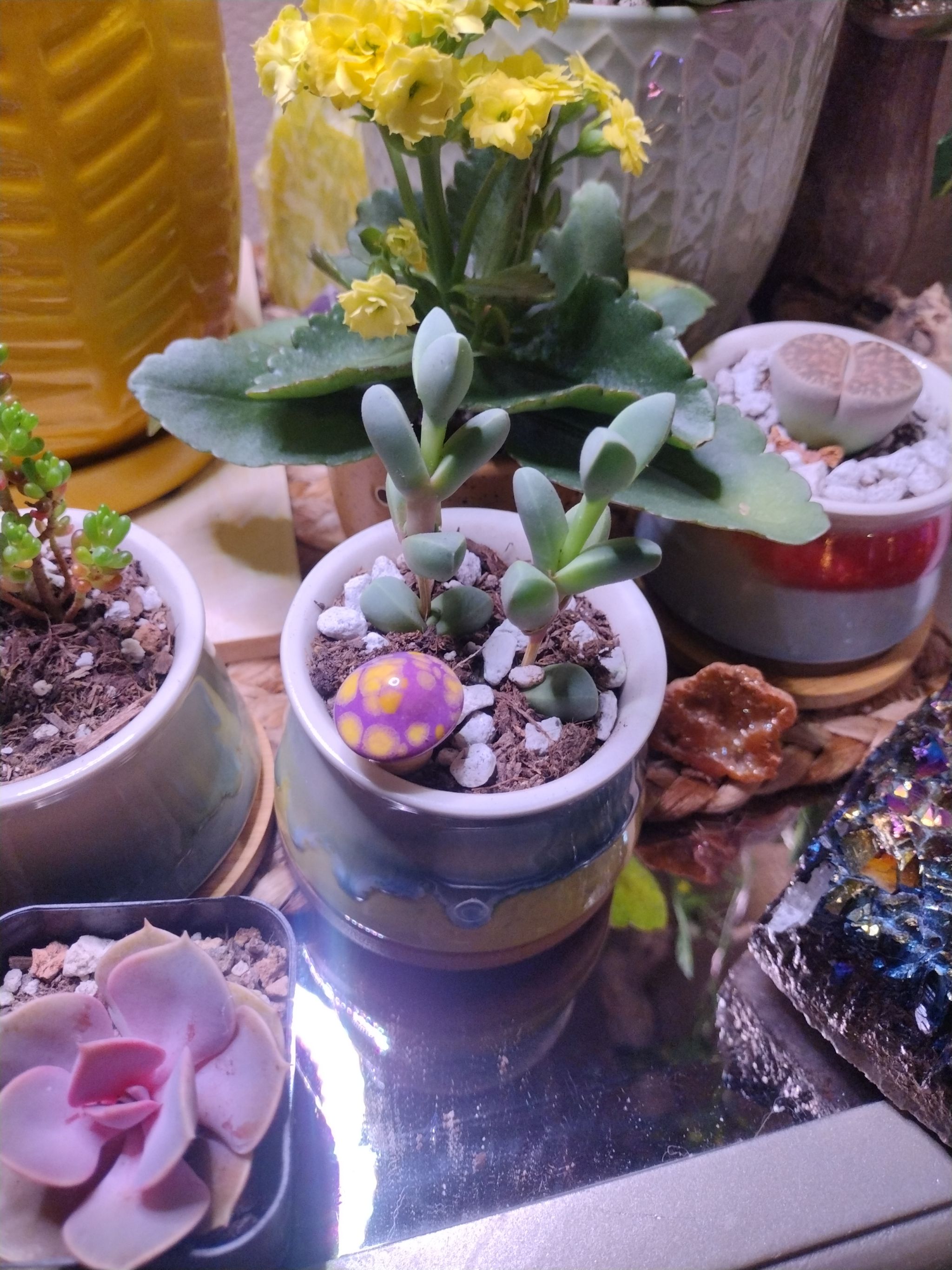 Photo from the post