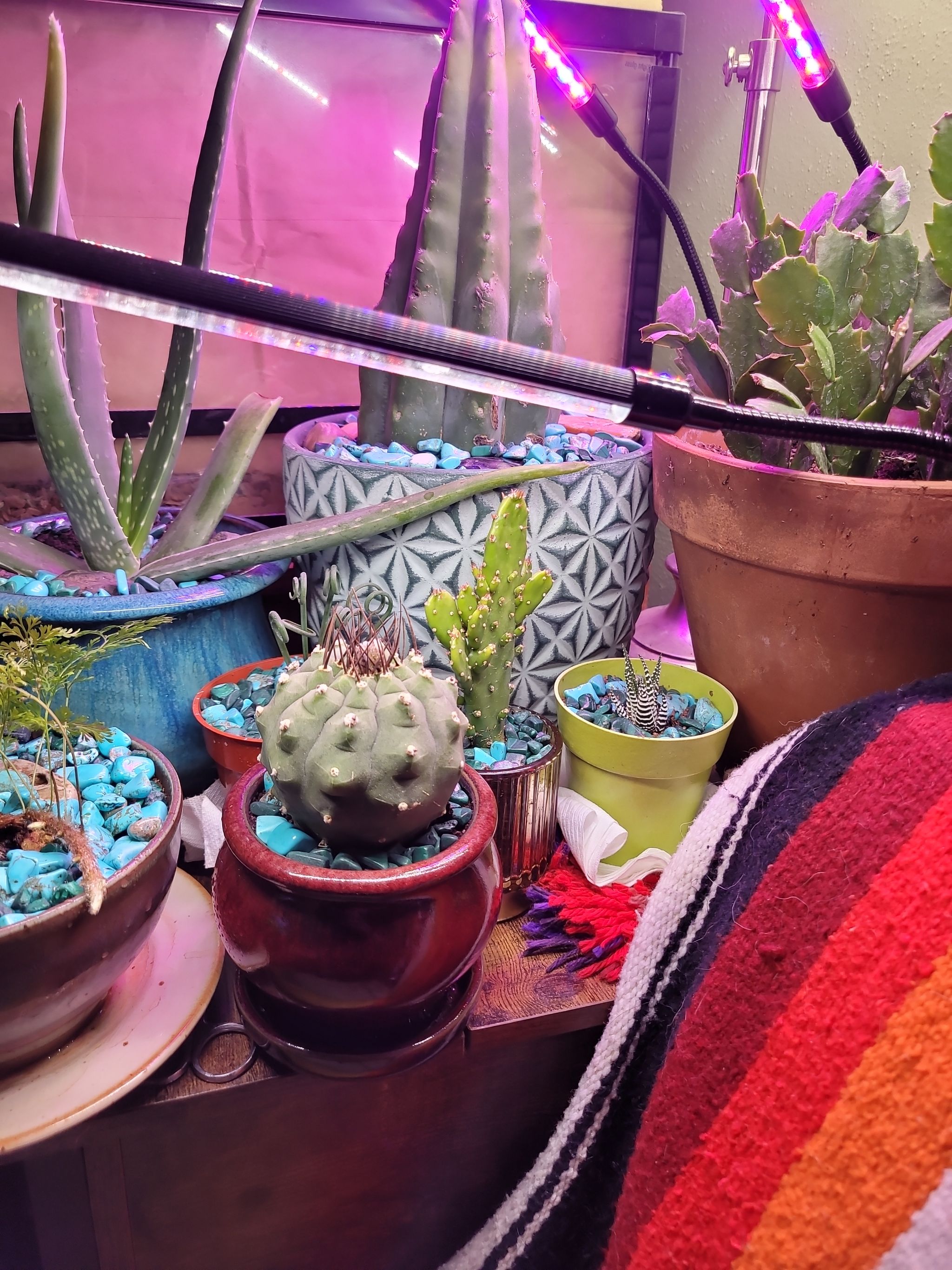 Photo from the post