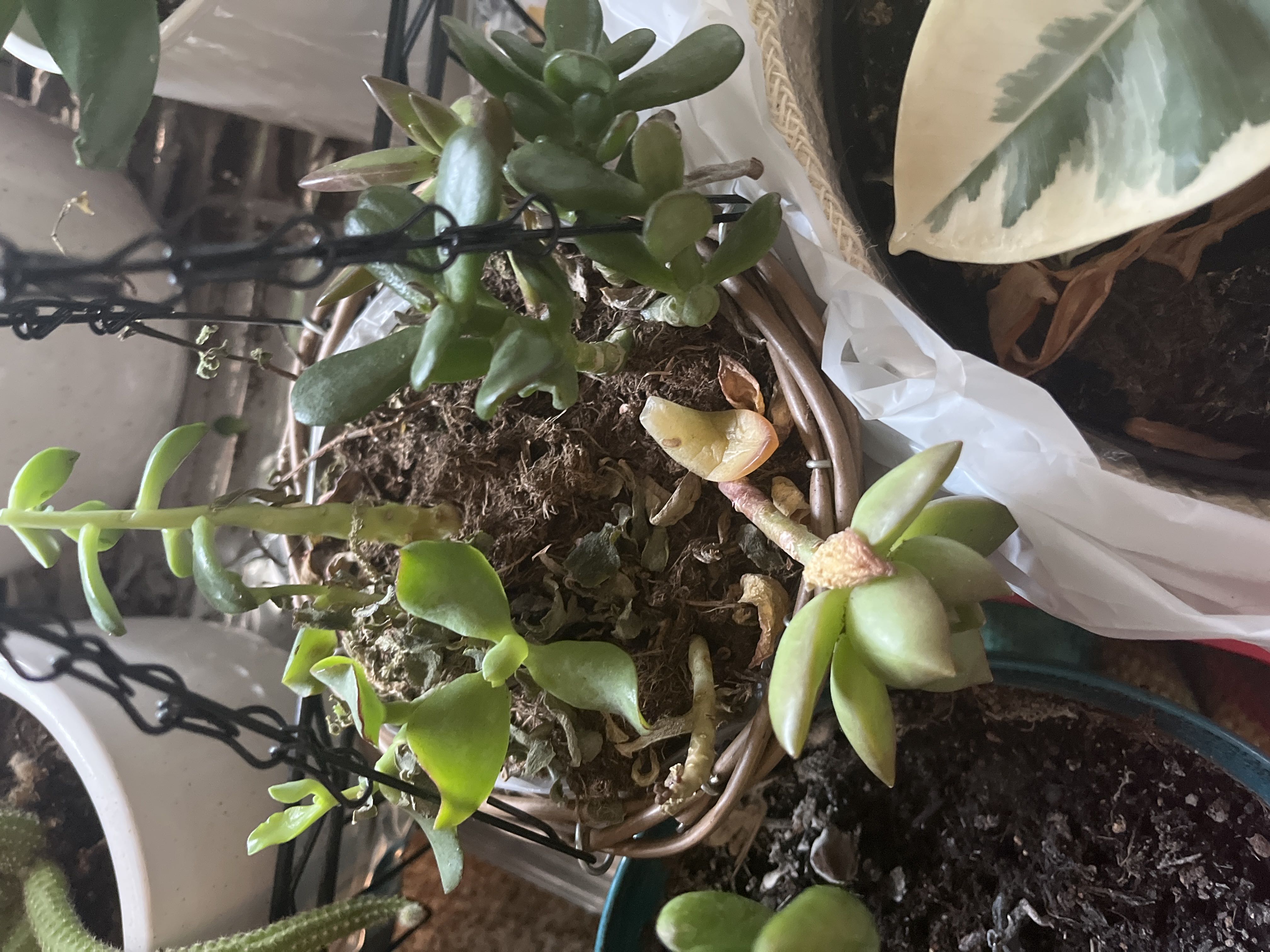 Photo from the post