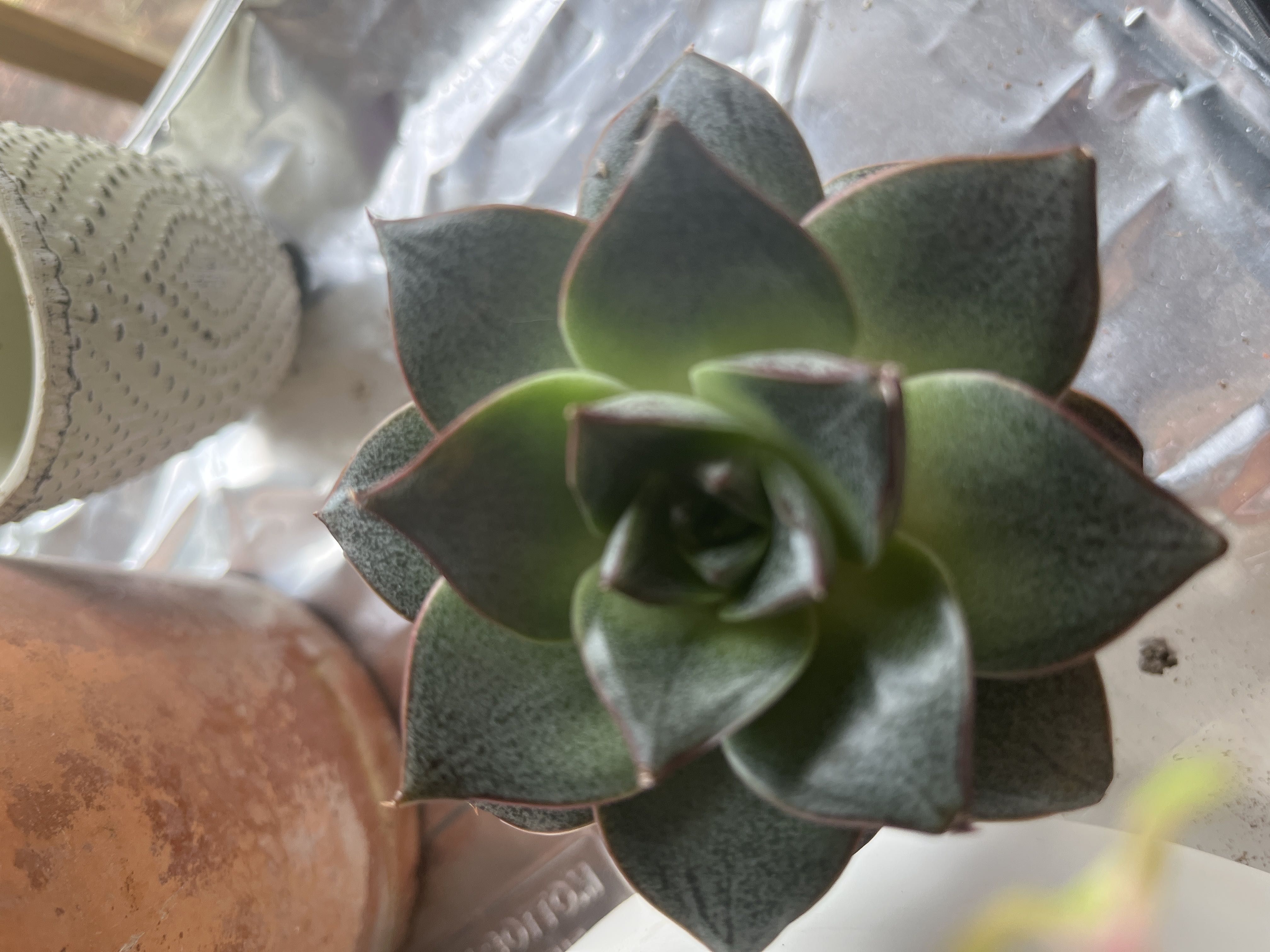 Photo from the post