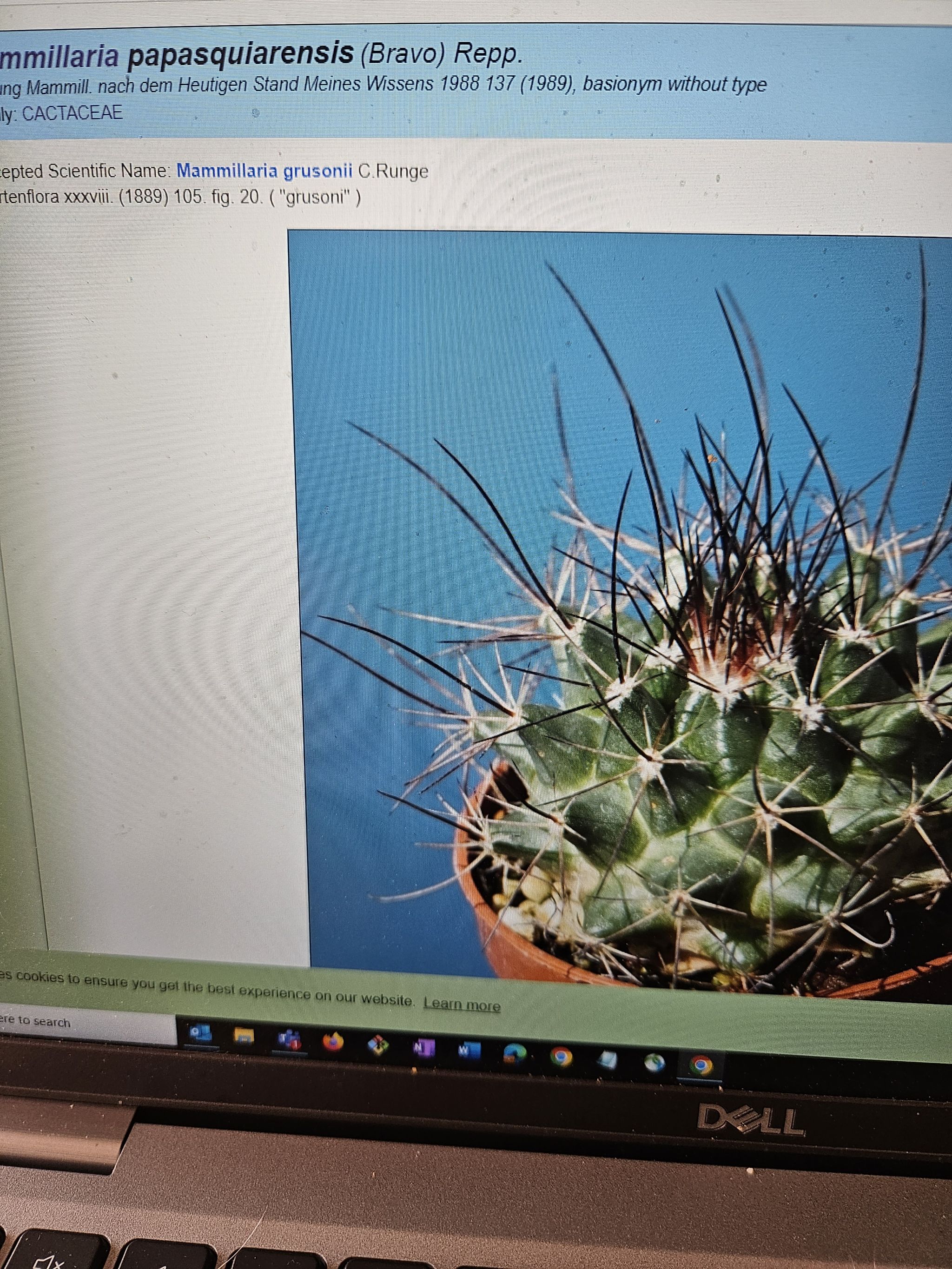 Photo from the post