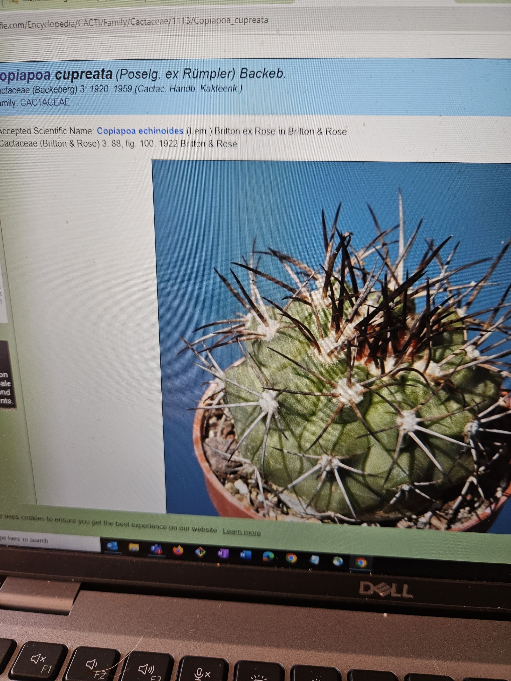 Photo from the post
