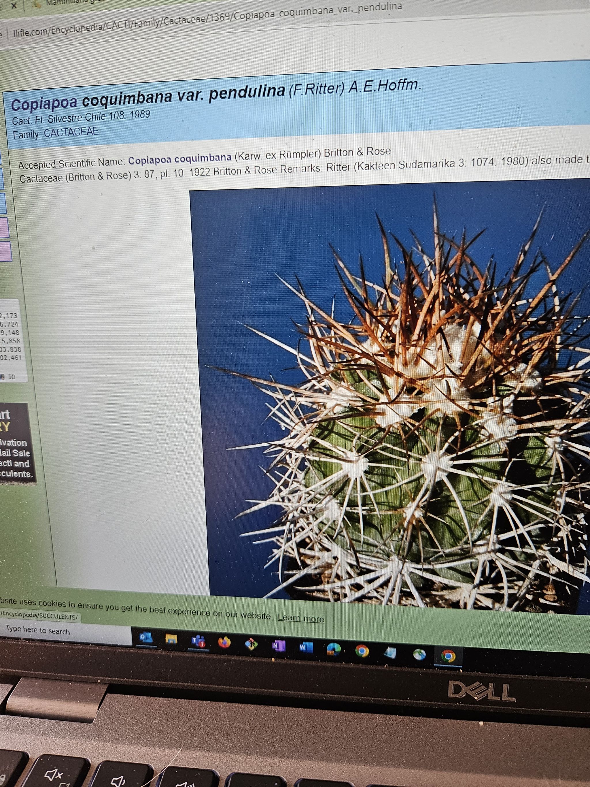 Photo from the post