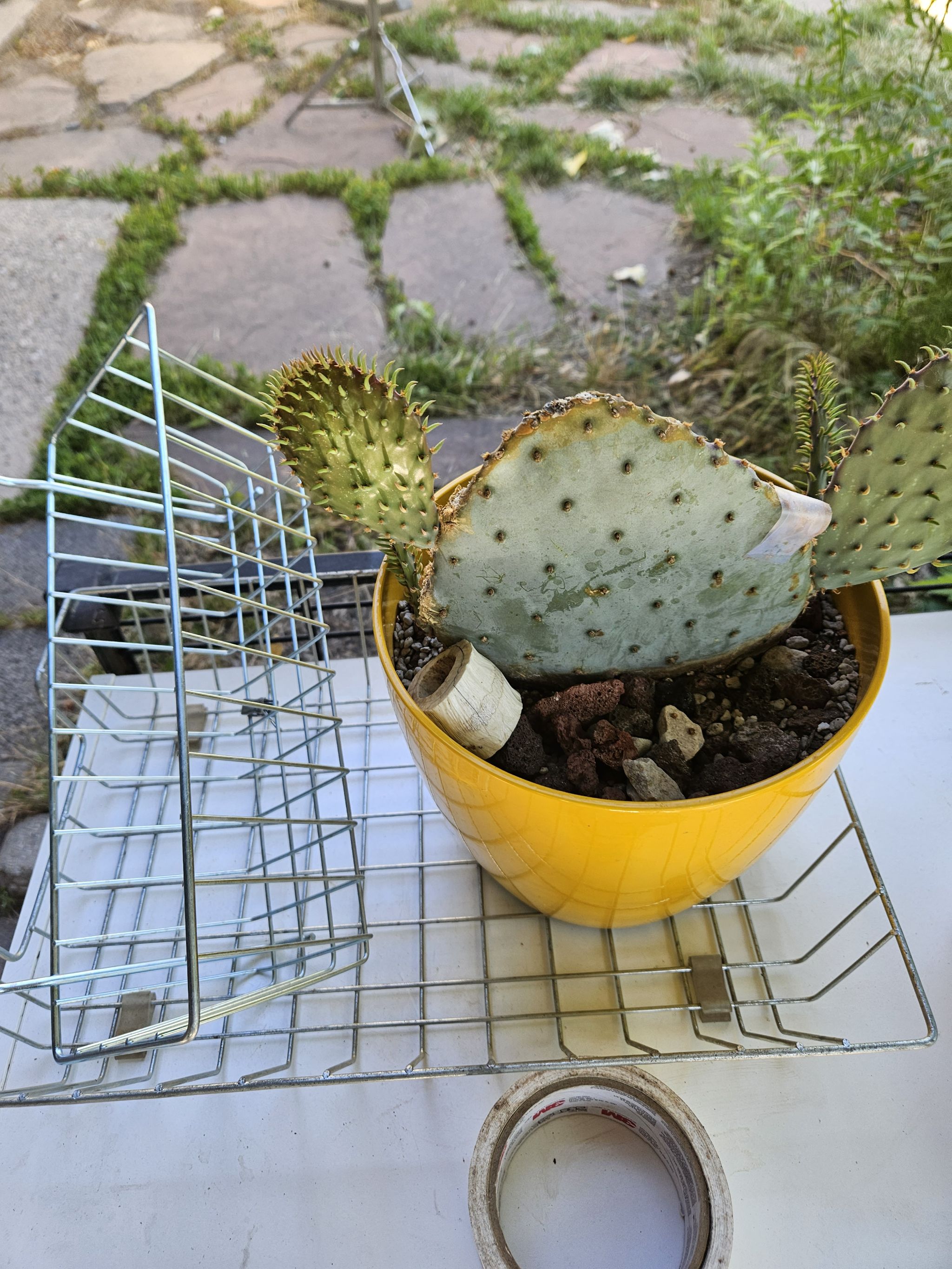 Photo from the post