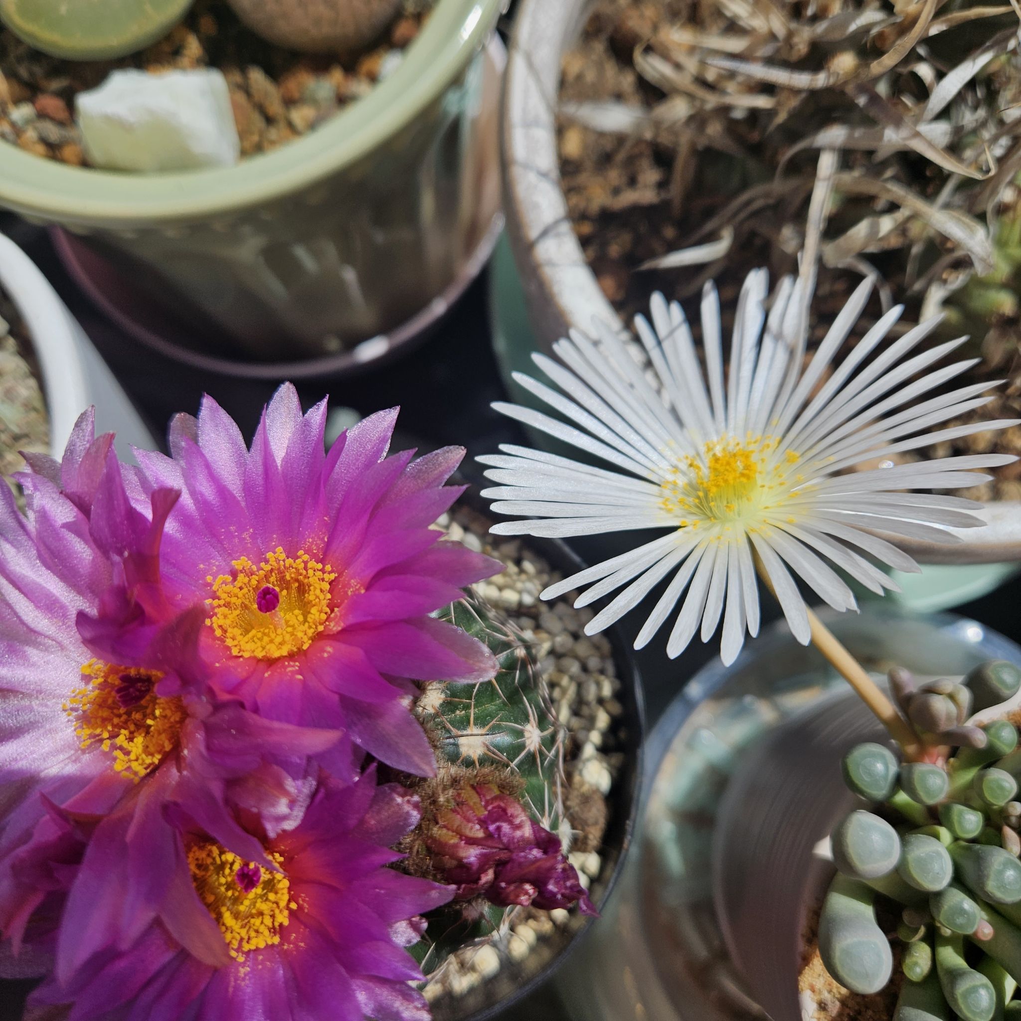 Photo from the post