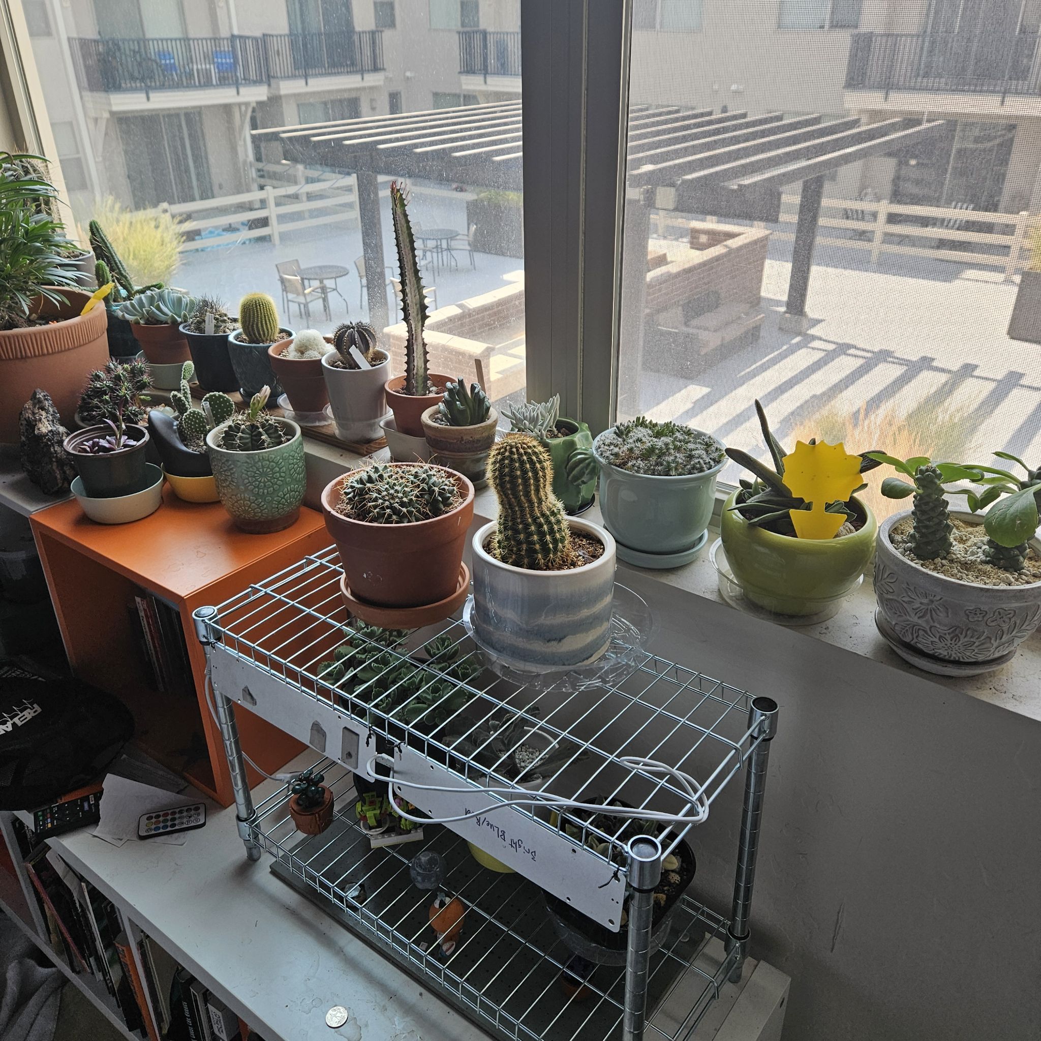 Photo from the post