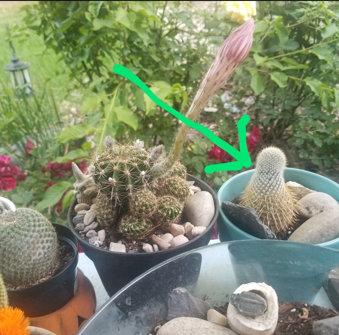 Photo from the post