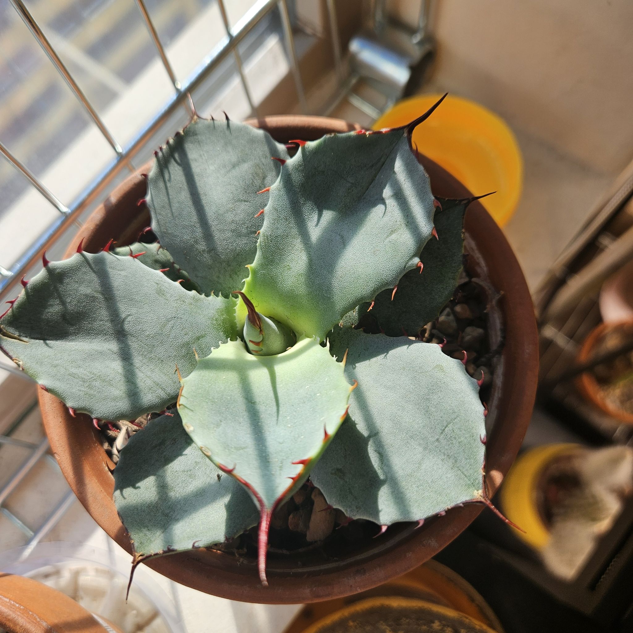Photo from the post