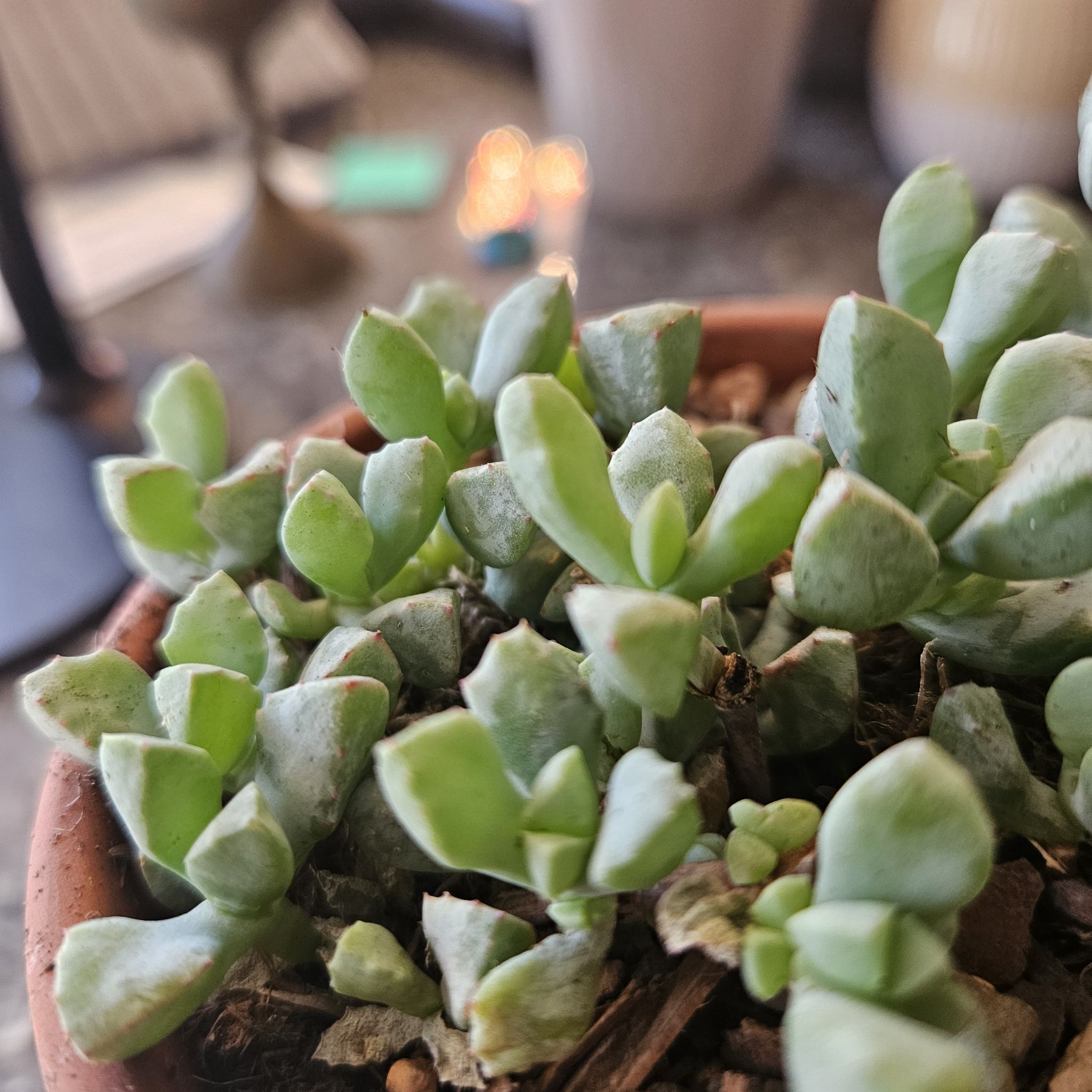 Photo from the post