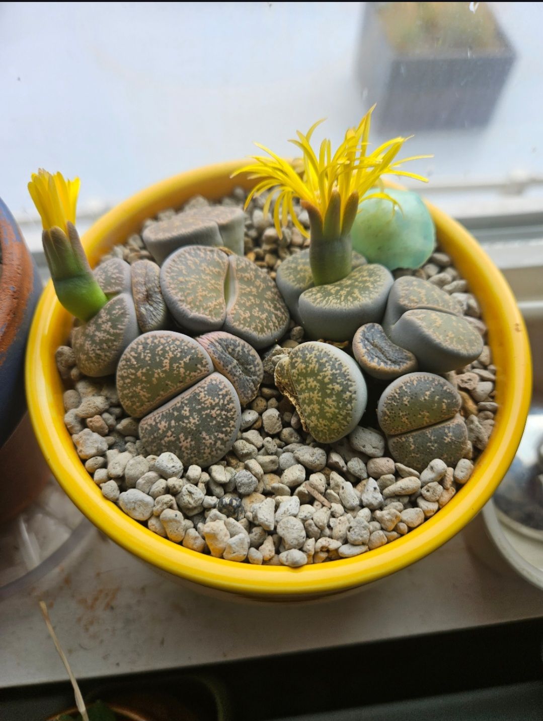 Photo from the post