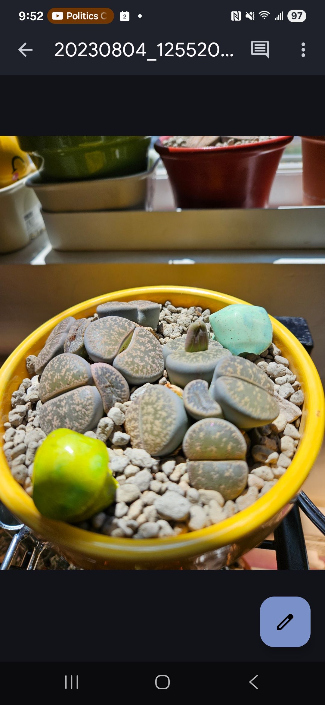 Photo from the post
