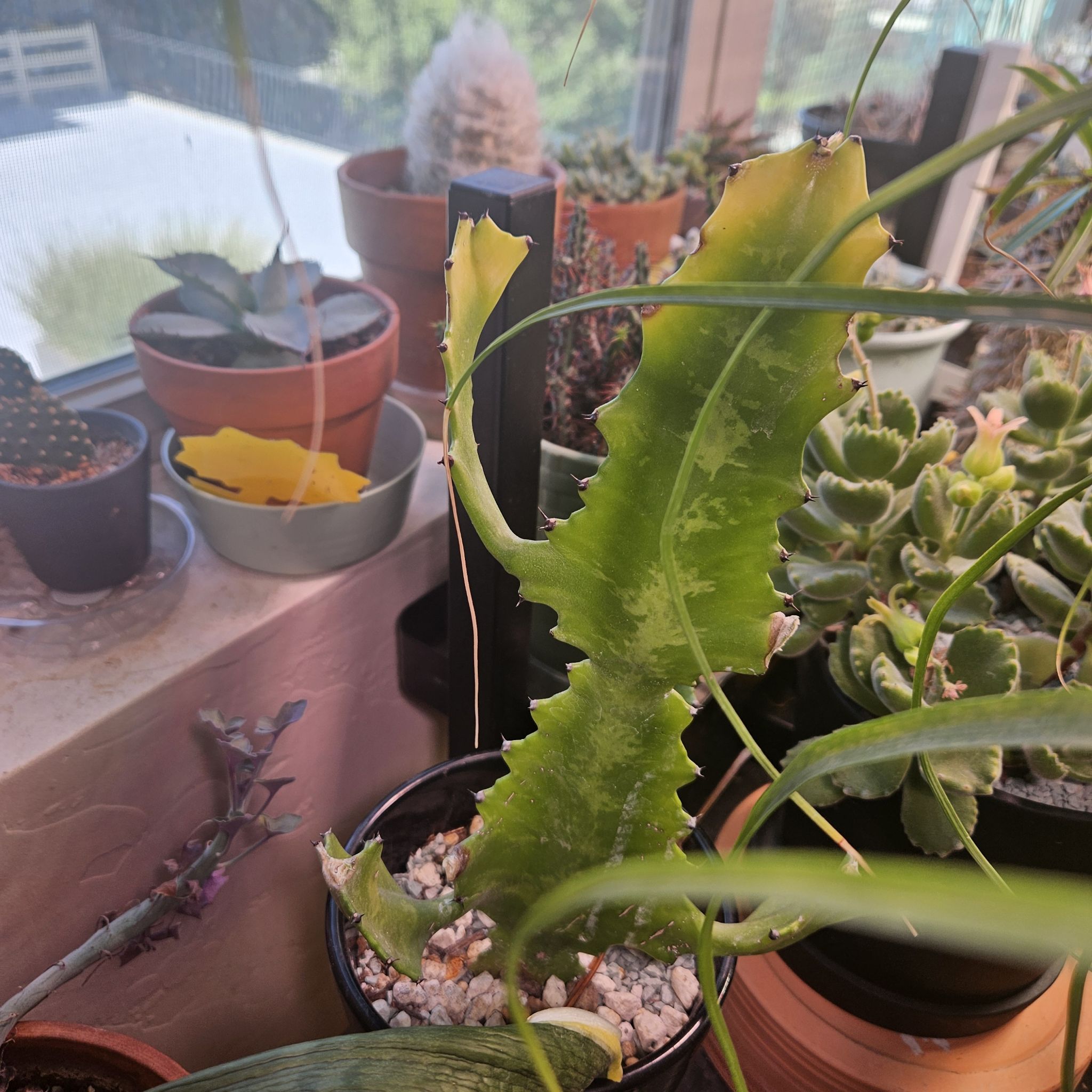 Photo from the post