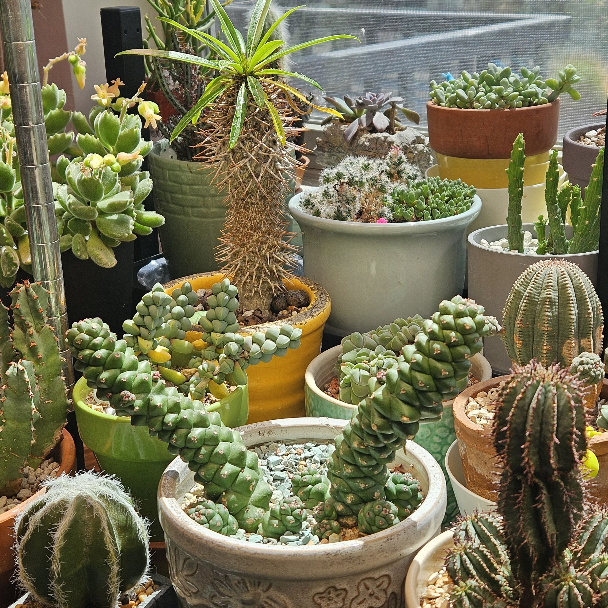 Photo from the post