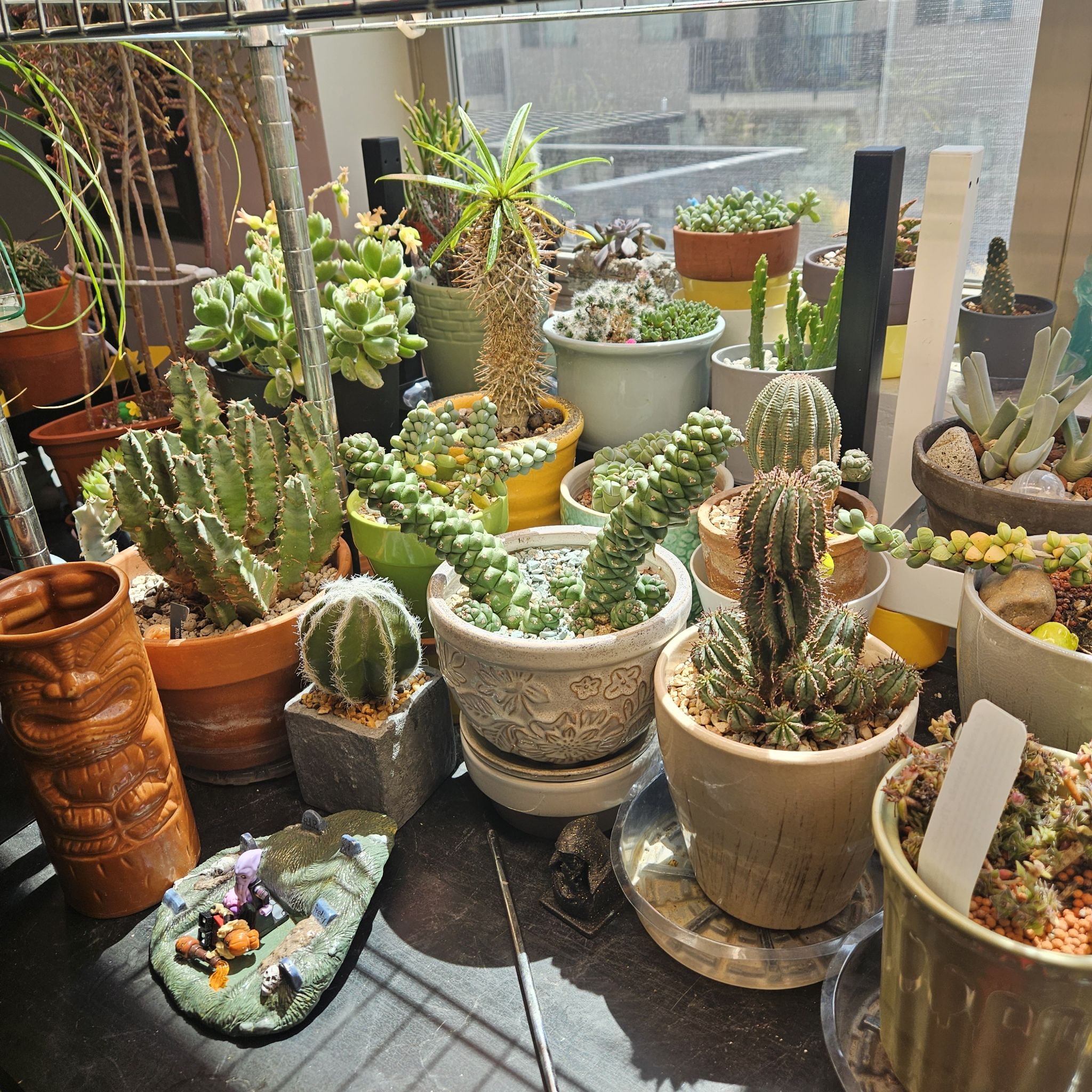 Photo from the post