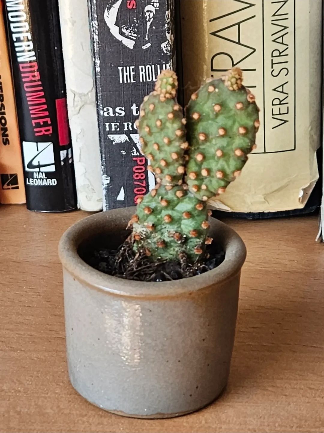 Photo from the post