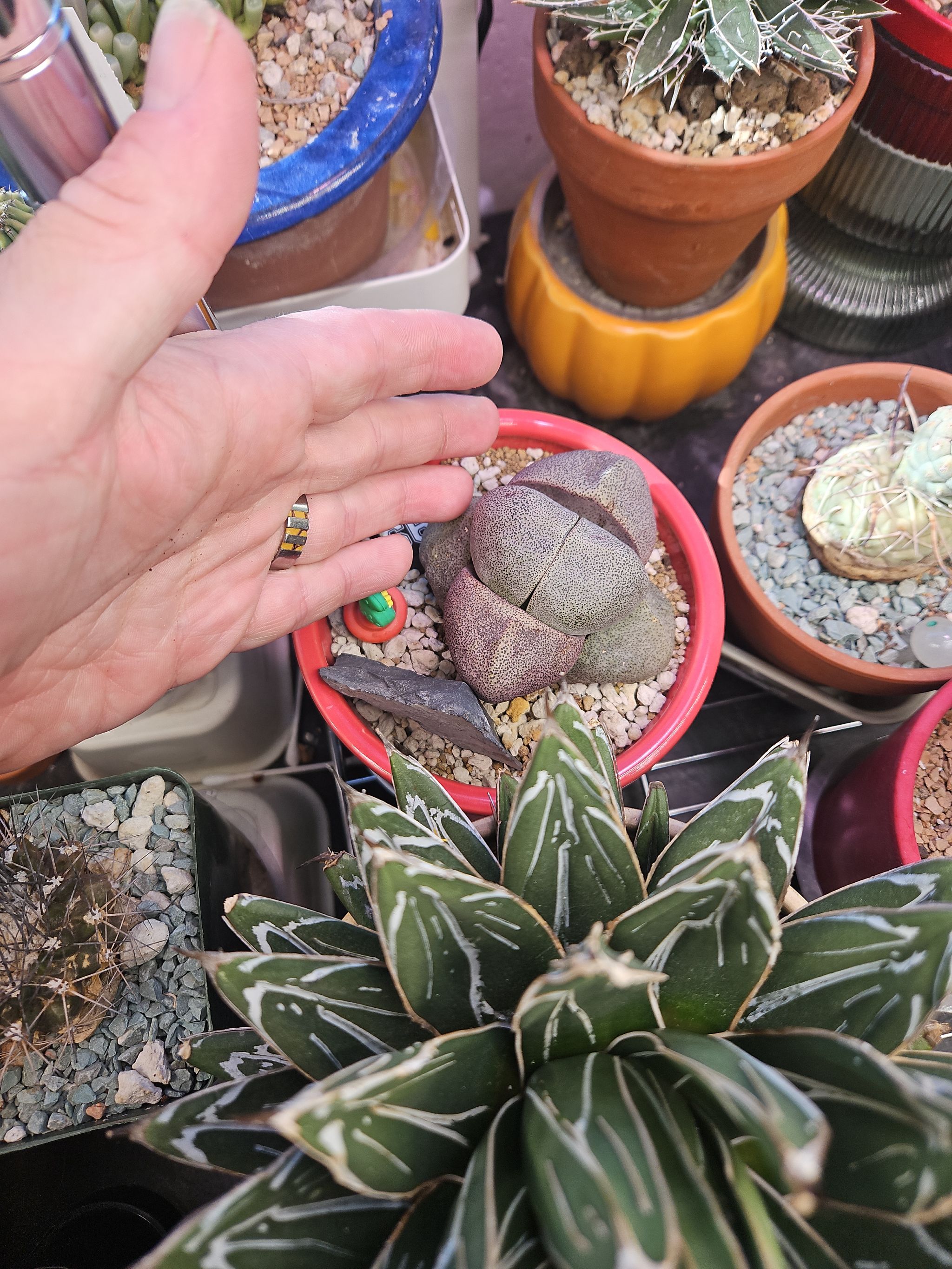 Photo from the post