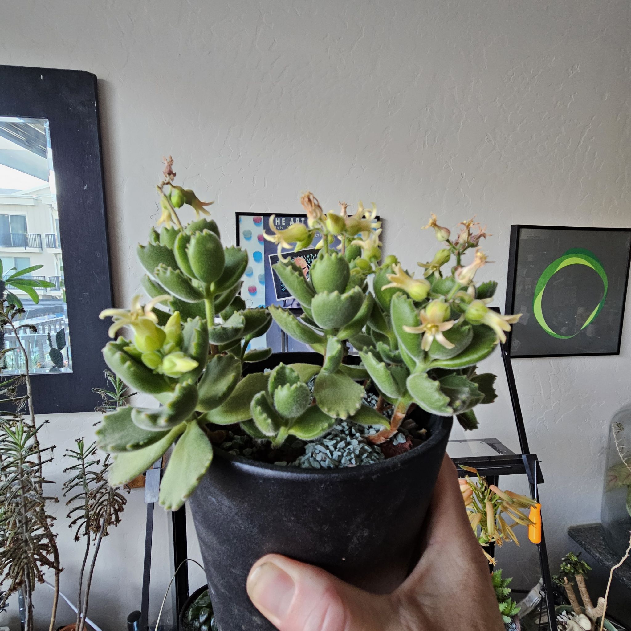 Photo from the post