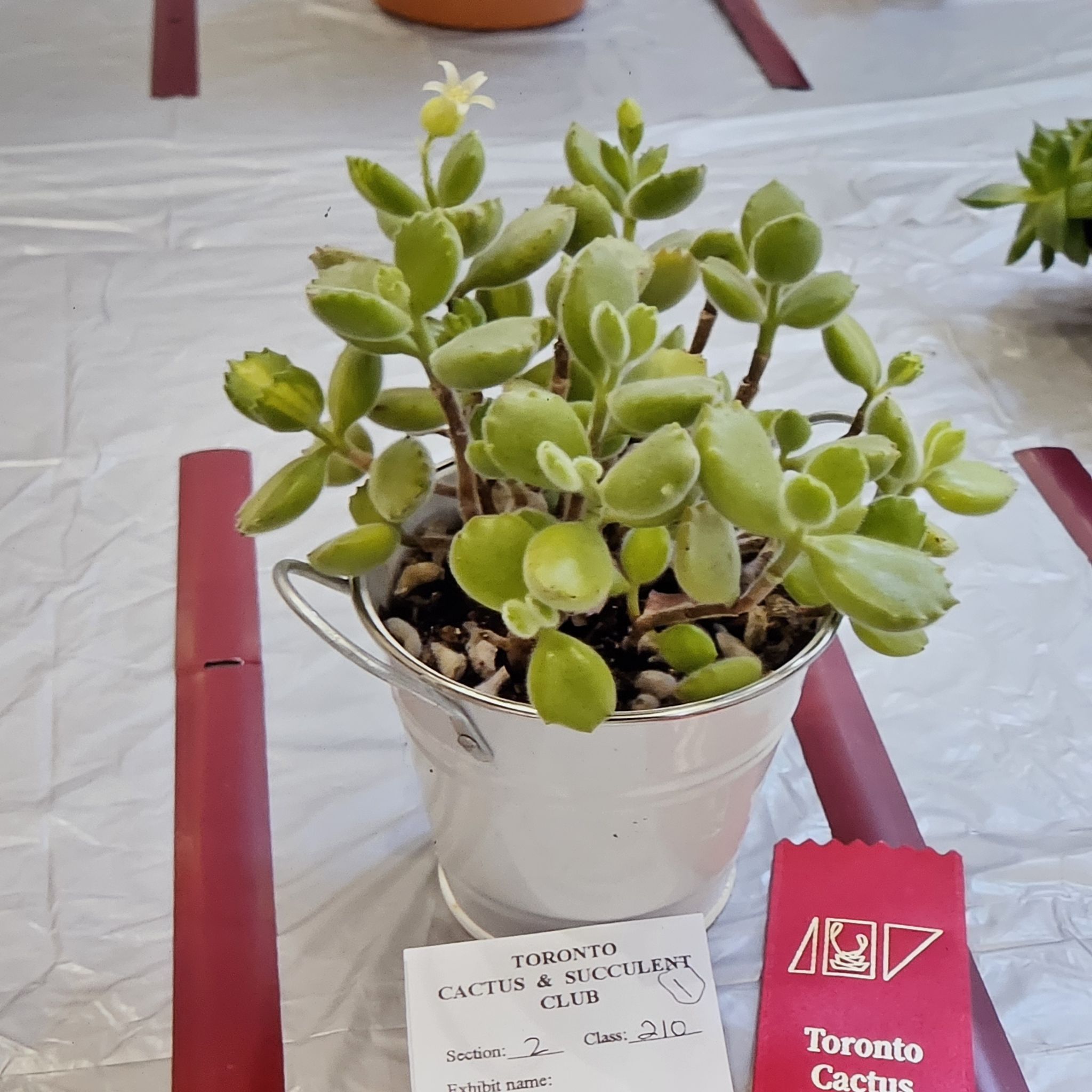 Photo from the post