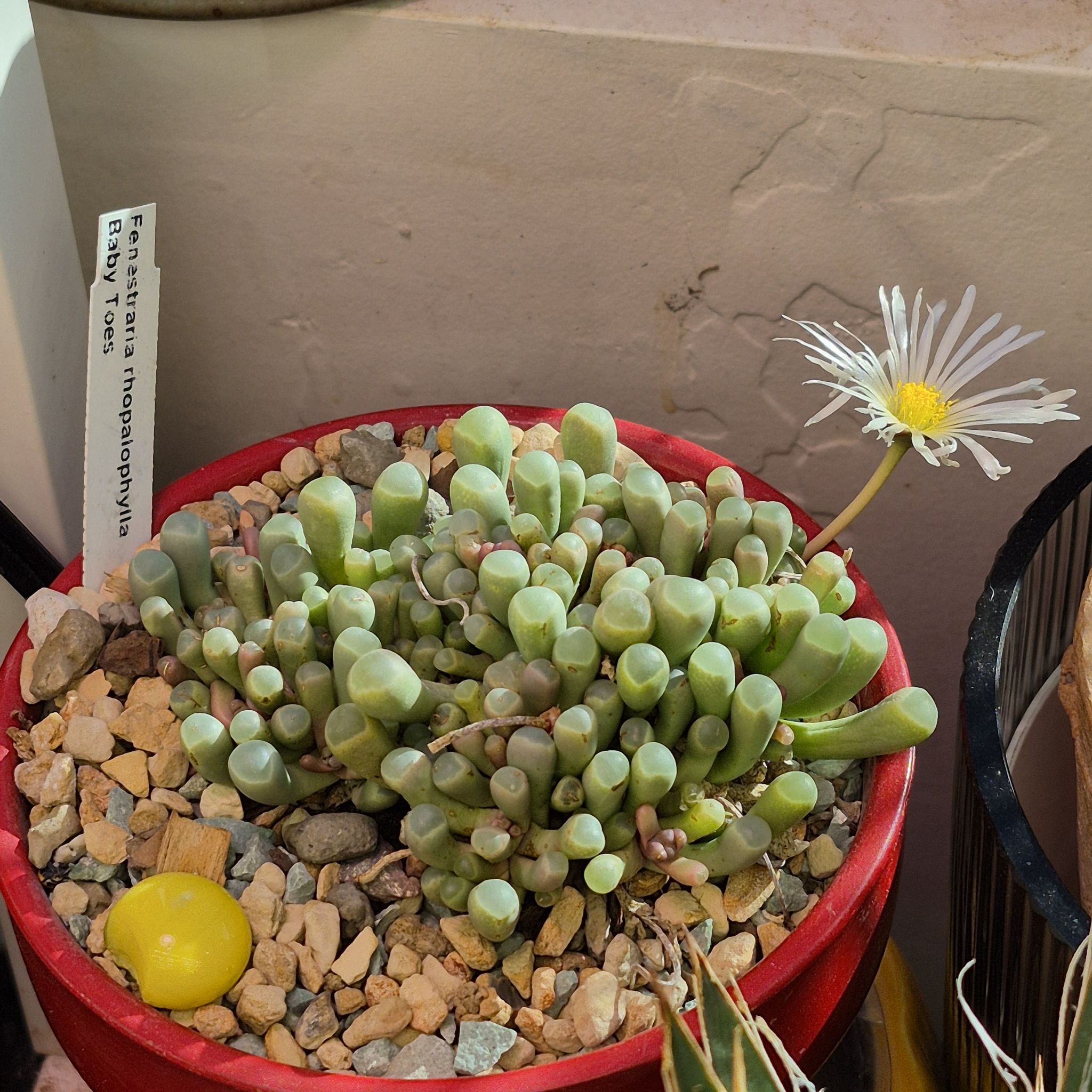 Photo from the post