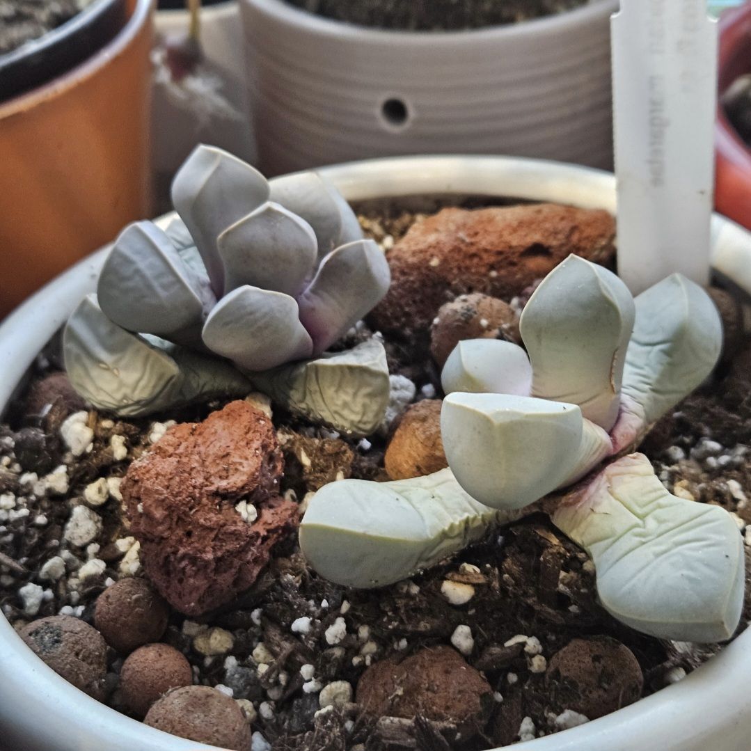 Photo from the post