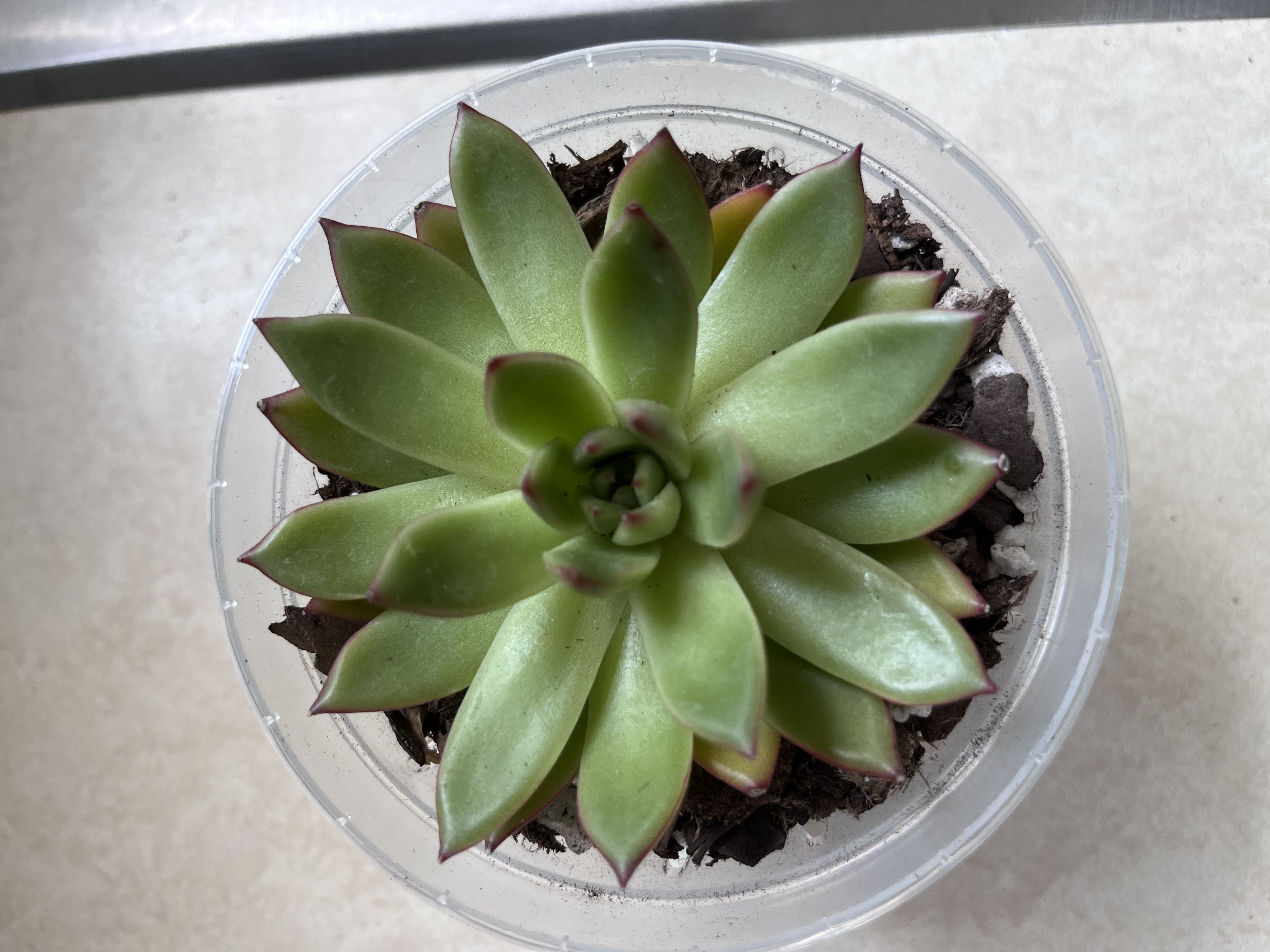 Photo from the post